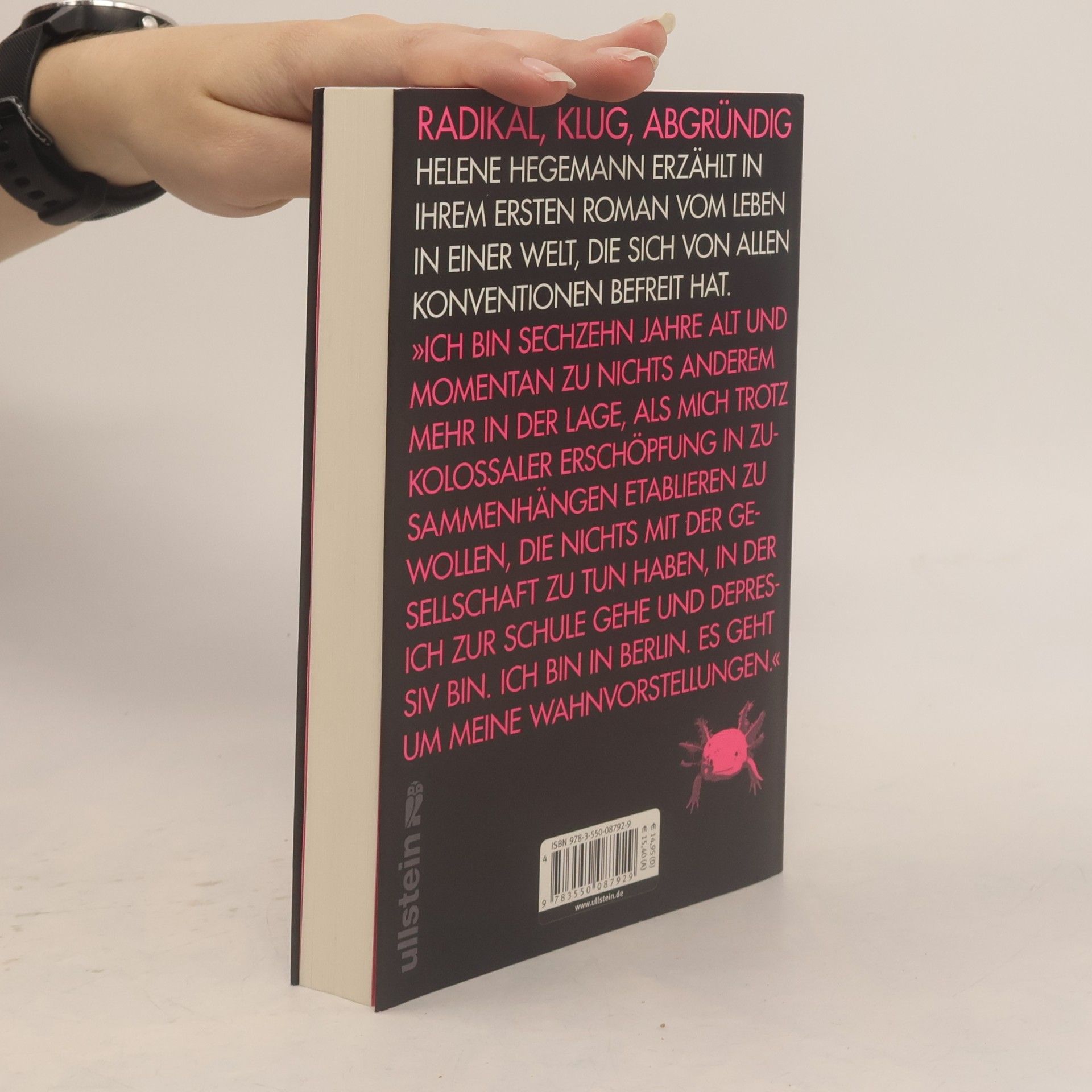 Helene Hegemann Axolotl Roadkill : Roman