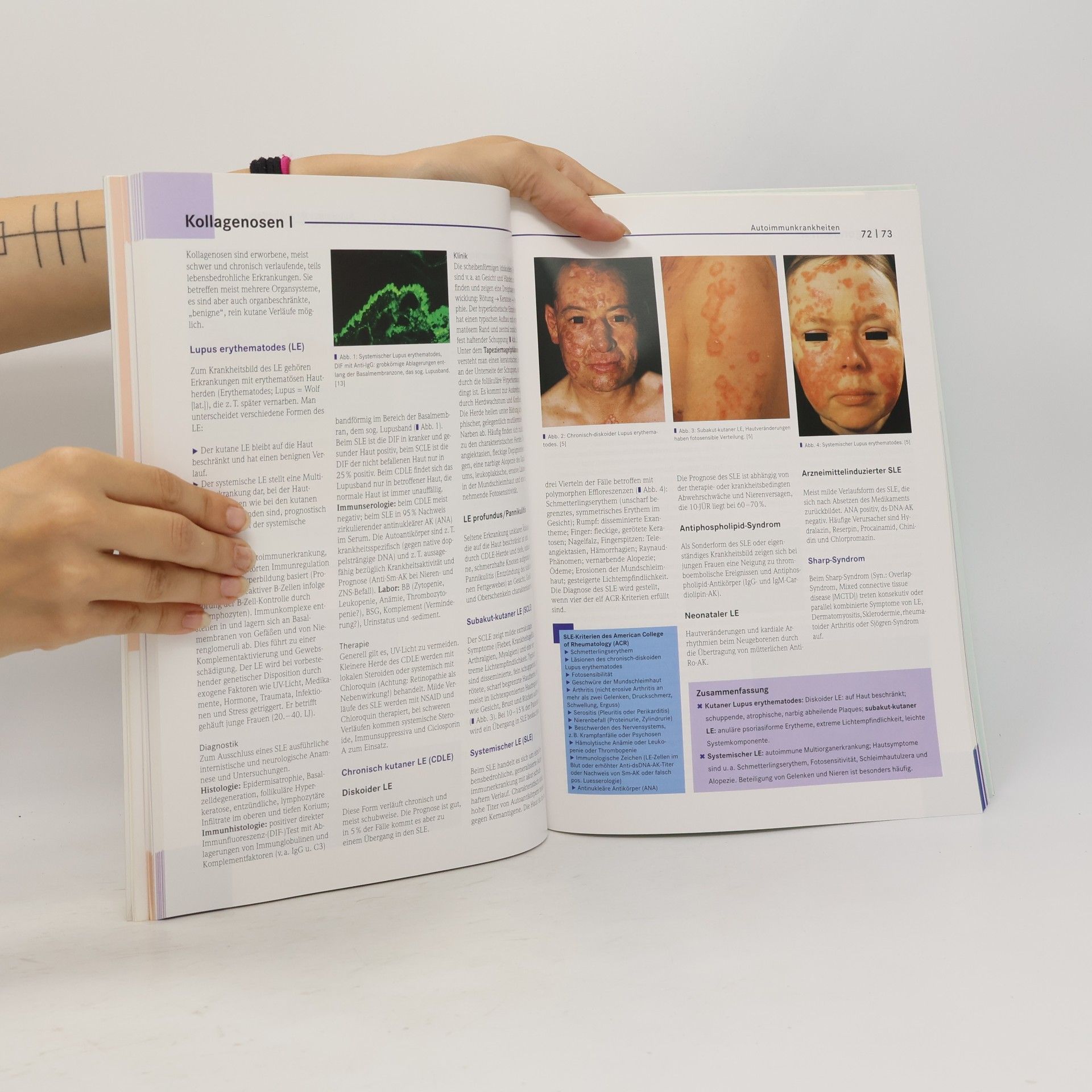 Dorothea Terhorst Basics Dermatologie