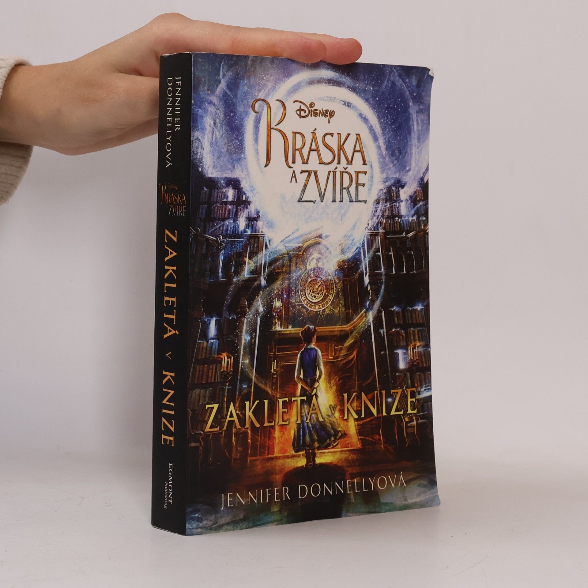 Jennifer Donnelly Kráska a zvíře: Zakletá v knize