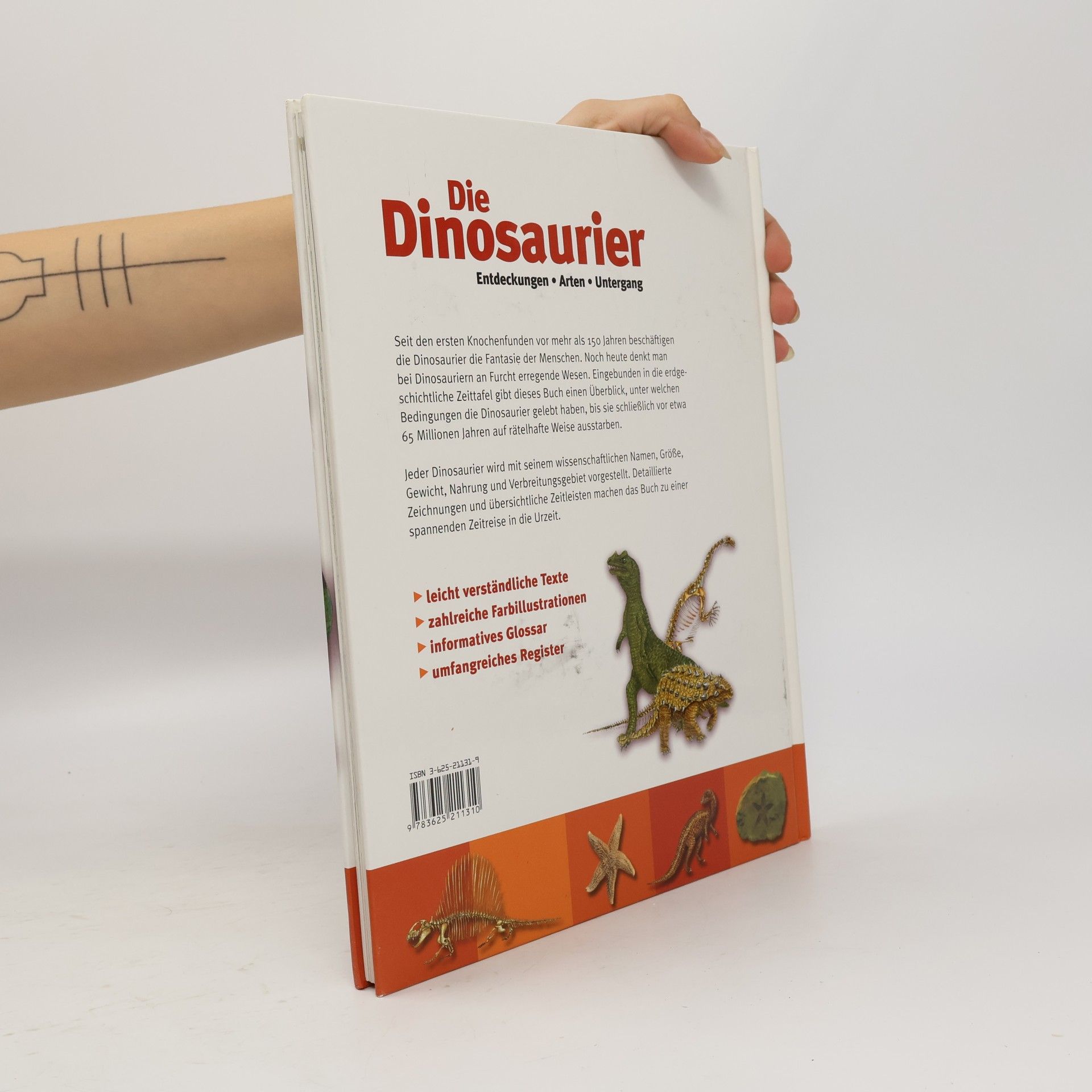 Autorenkollektiv Die Dinosaurier