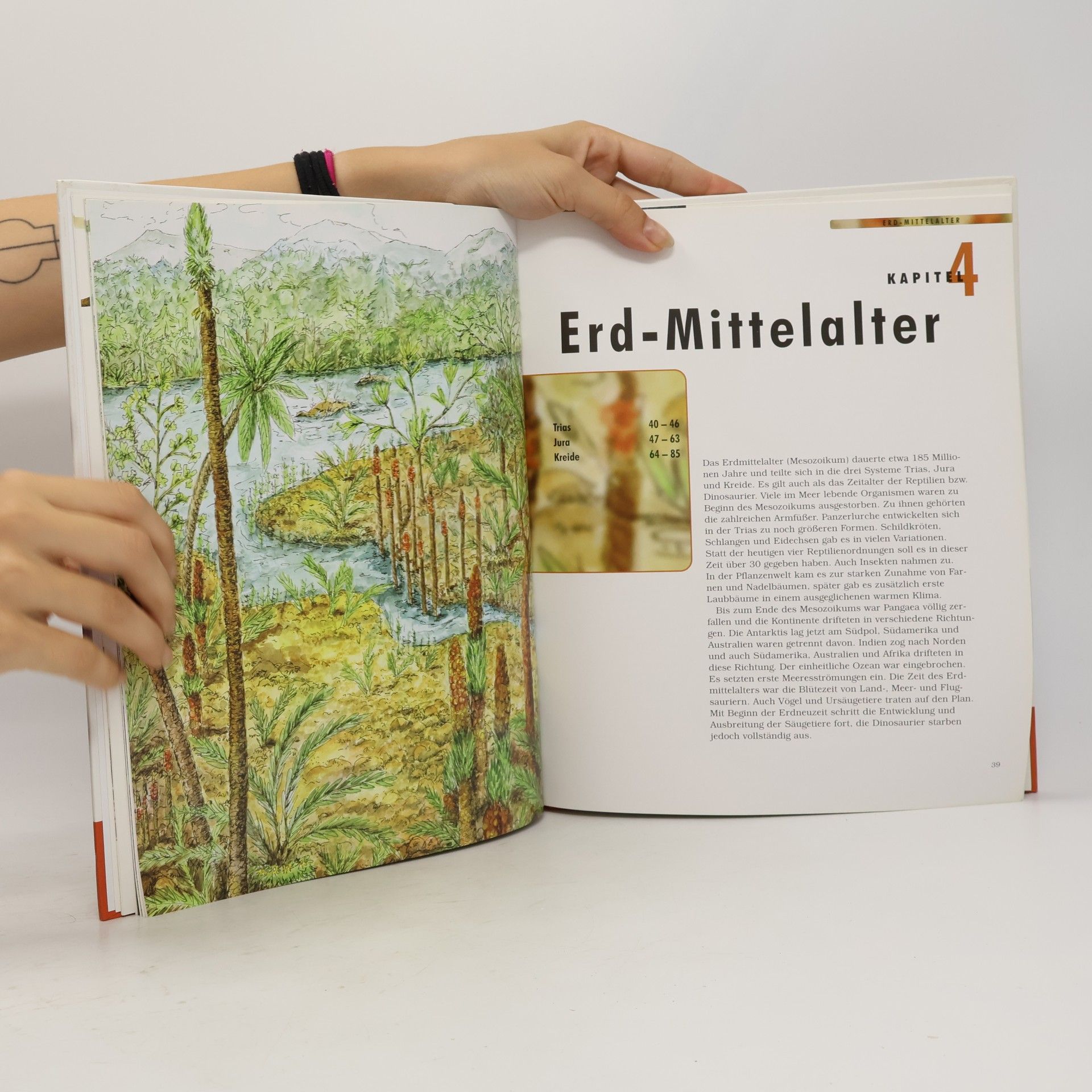 Autorenkollektiv Die Dinosaurier