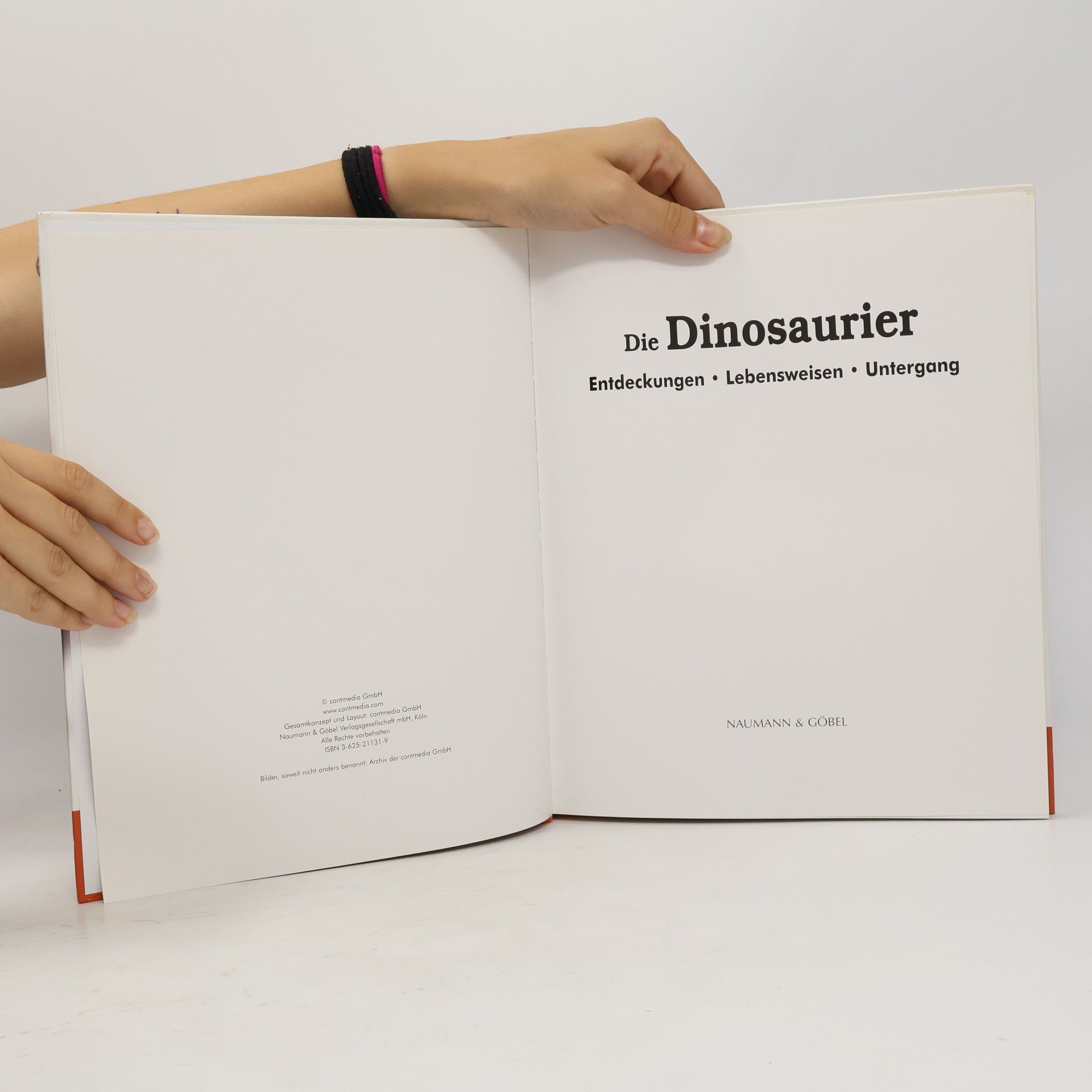 Autorenkollektiv Die Dinosaurier