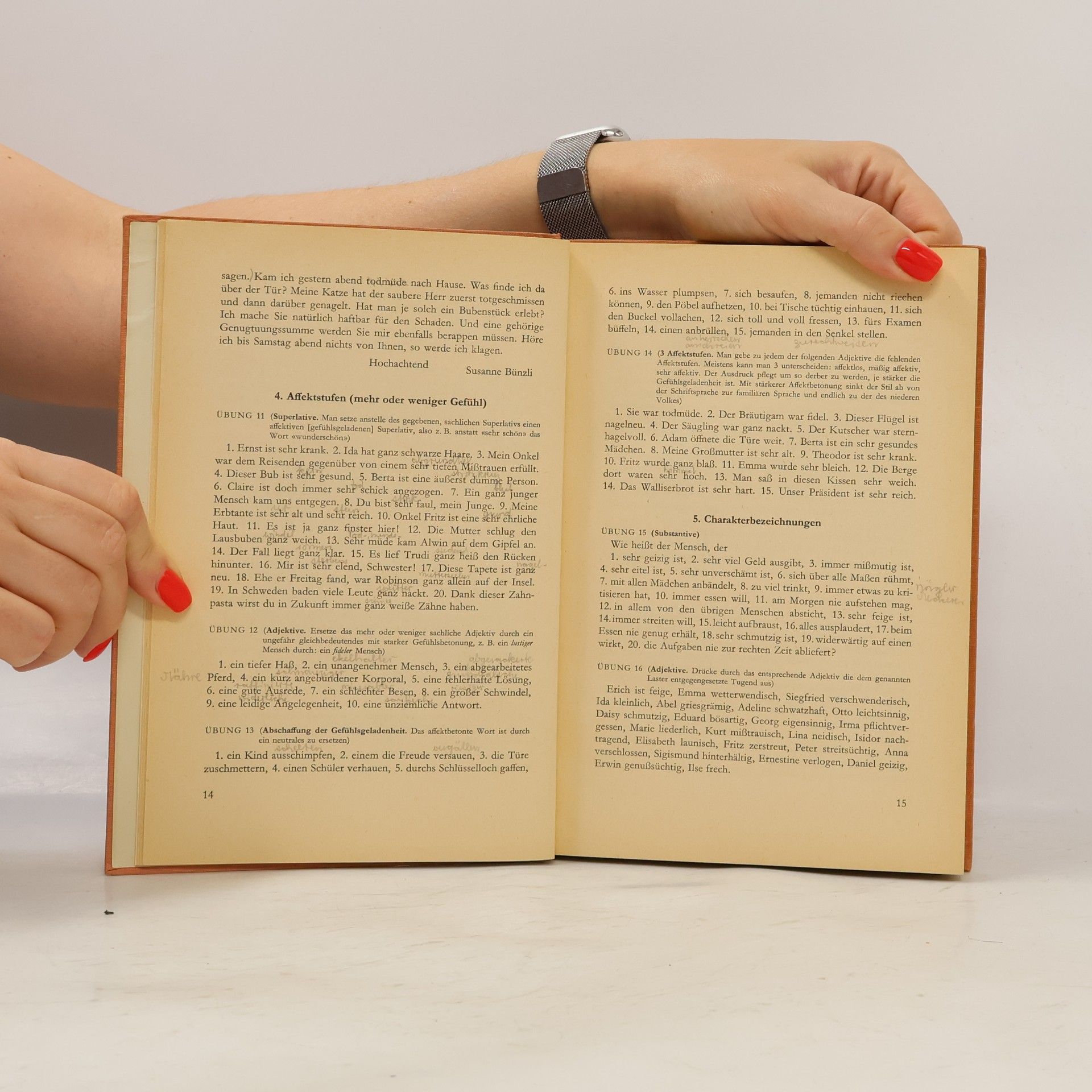 Ladislav Langpaul Deutschsprachliches Arbeitsbuch 2