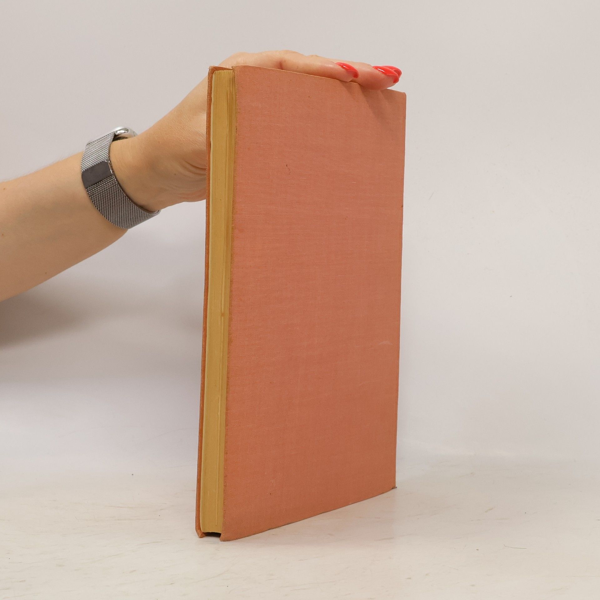 Ladislav Langpaul Deutschsprachliches Arbeitsbuch 2