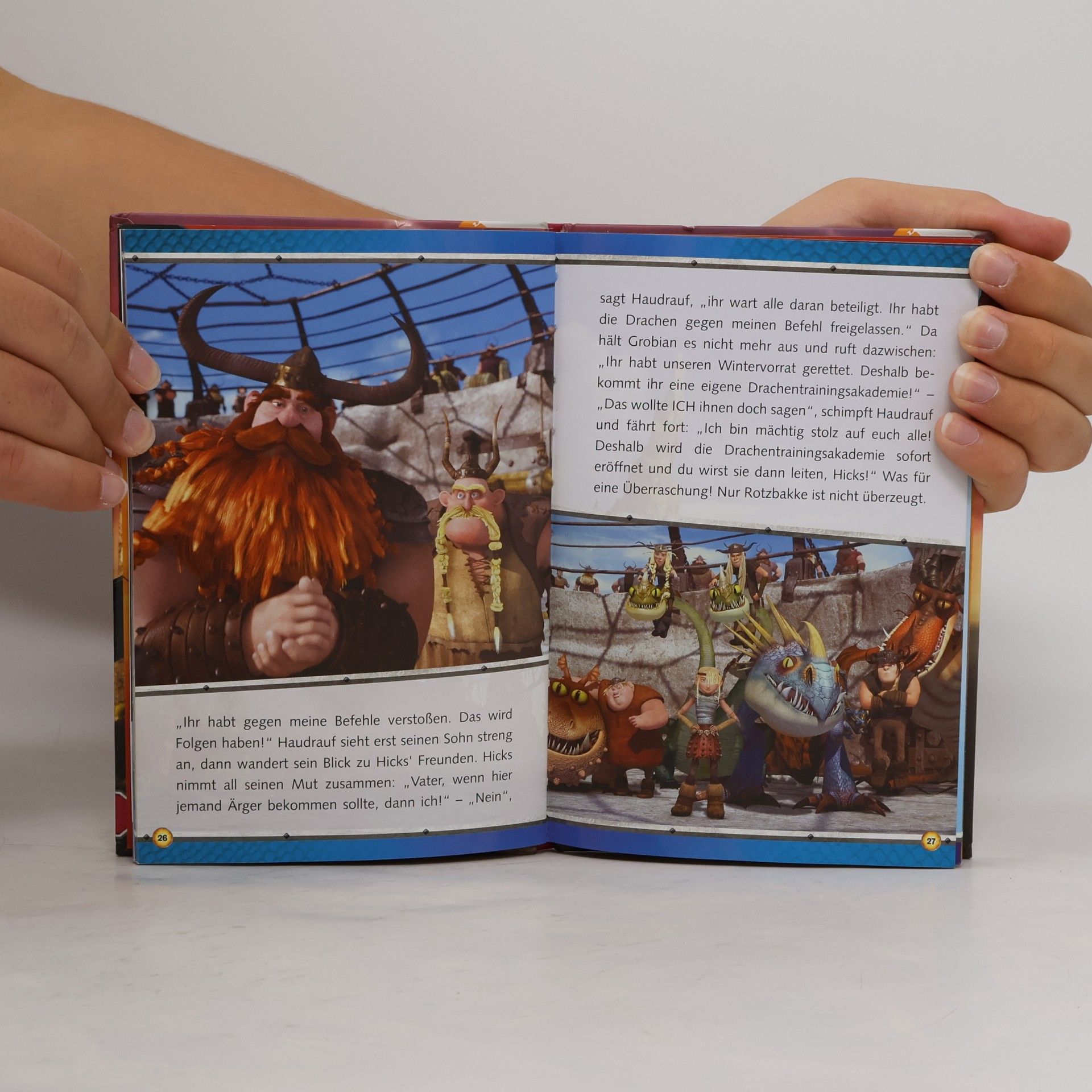 Various authors Dreamworks Dragons - Der Drachenzähmer