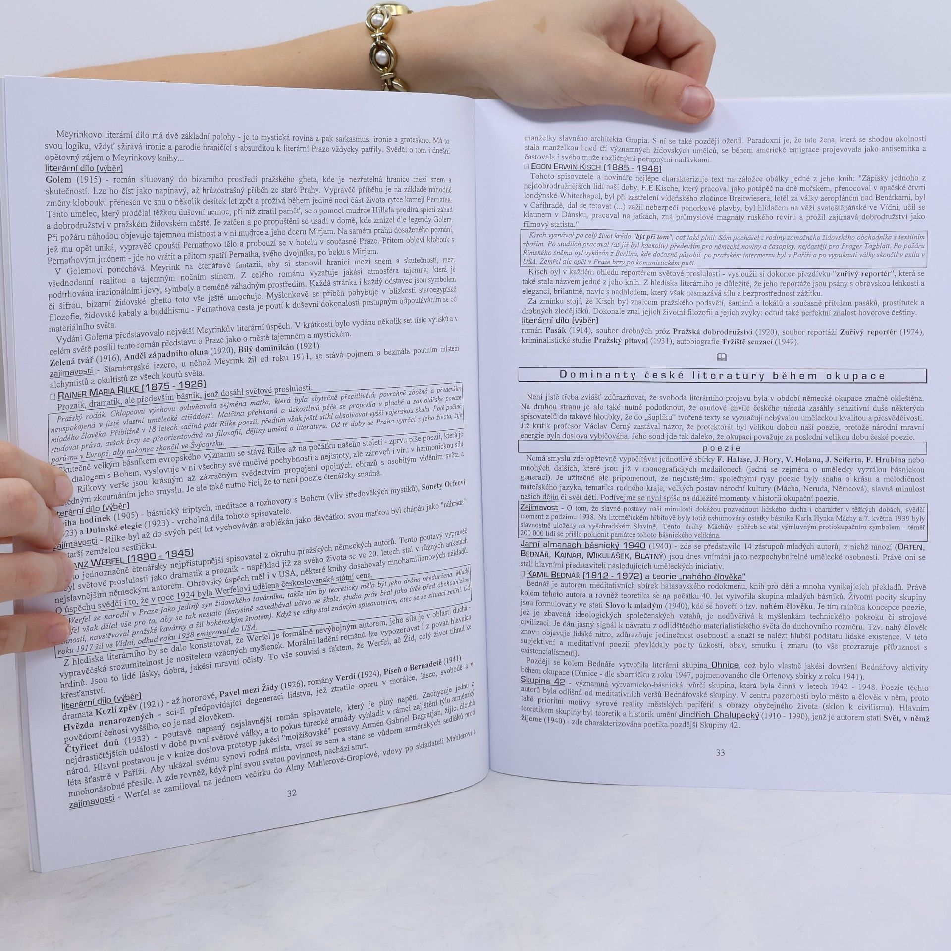 Vladimír Prokop Přehled české literatury 20. století