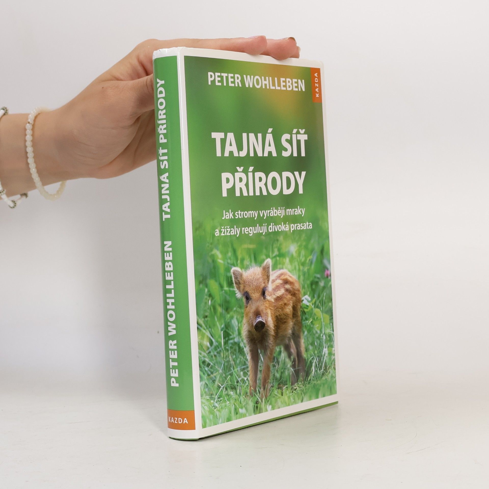 Peter Wohlleben Tajná síť přírody: Jak stromy vyrábějí mraky a žížaly regulují divoká prasata