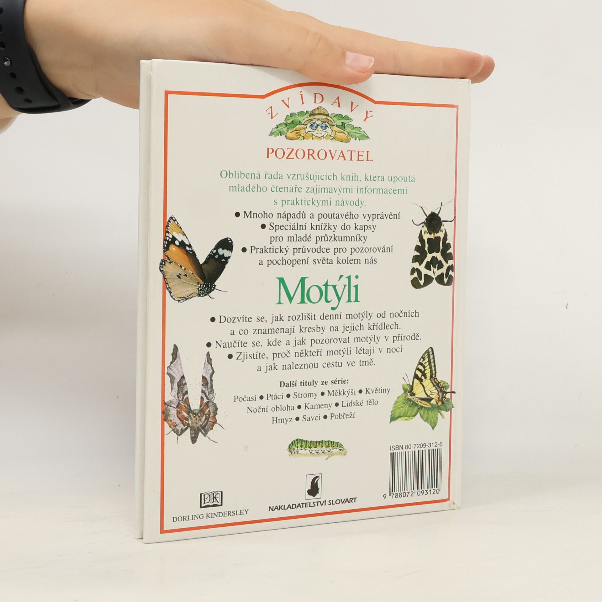 Kolektiv autorů Motýli