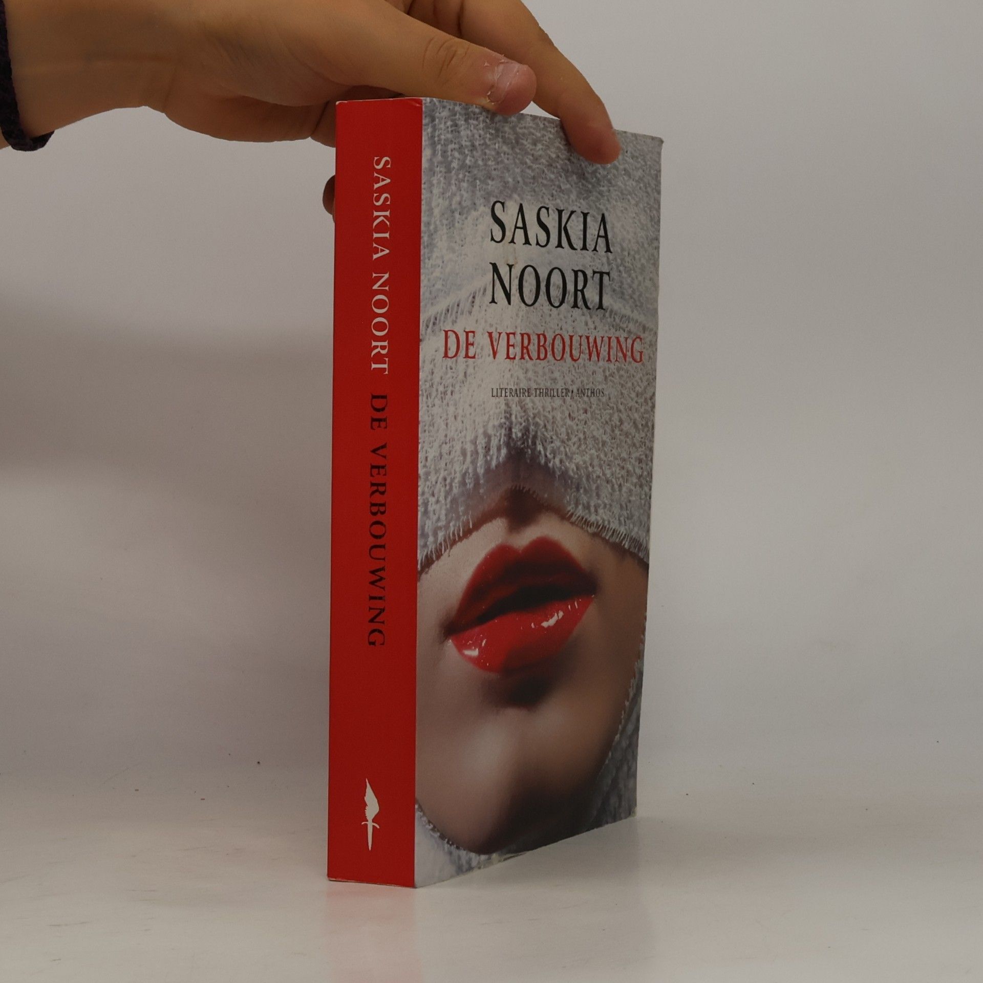 Saskia Noort De verbouwing