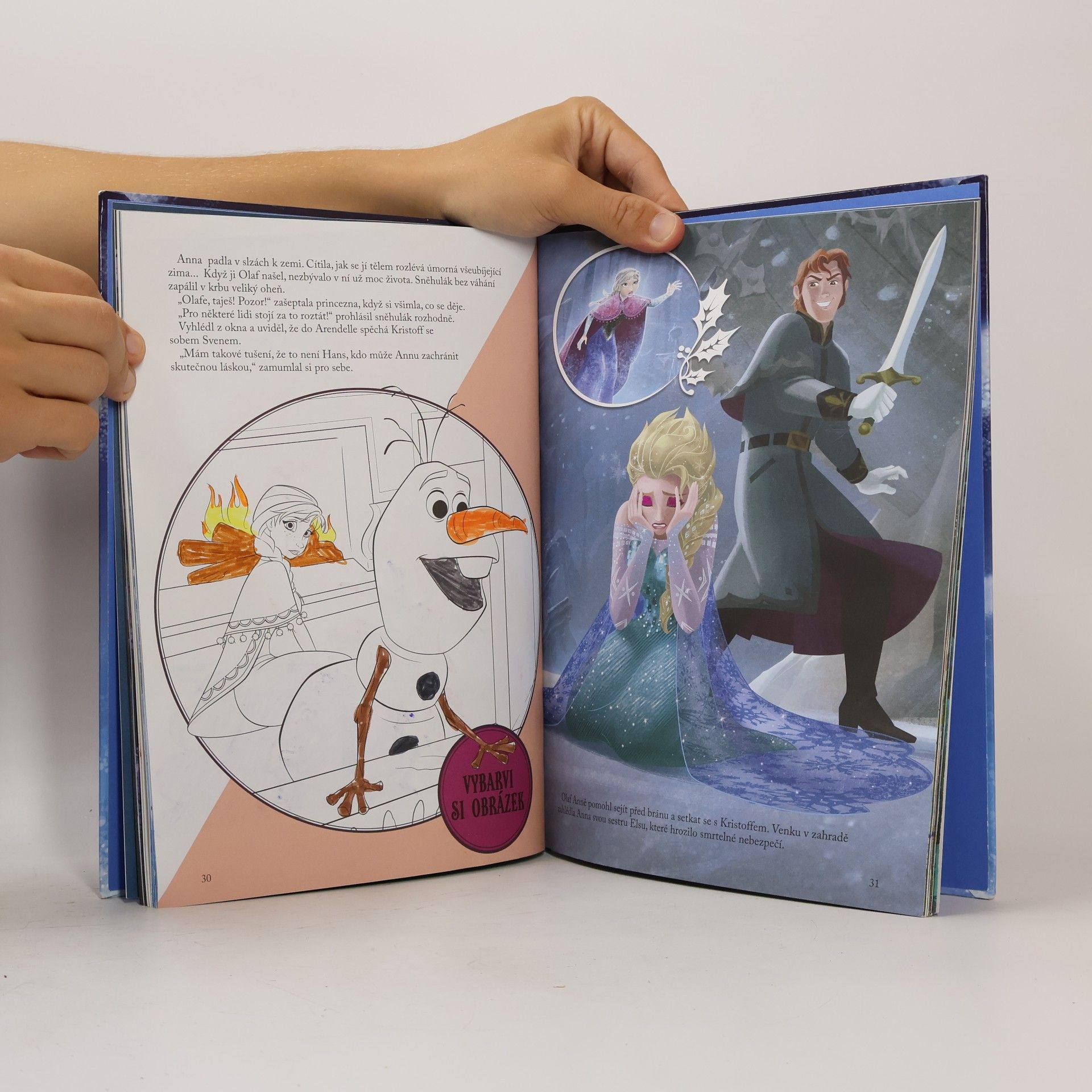Walt Disney Ledové království - Knížka na celý rok