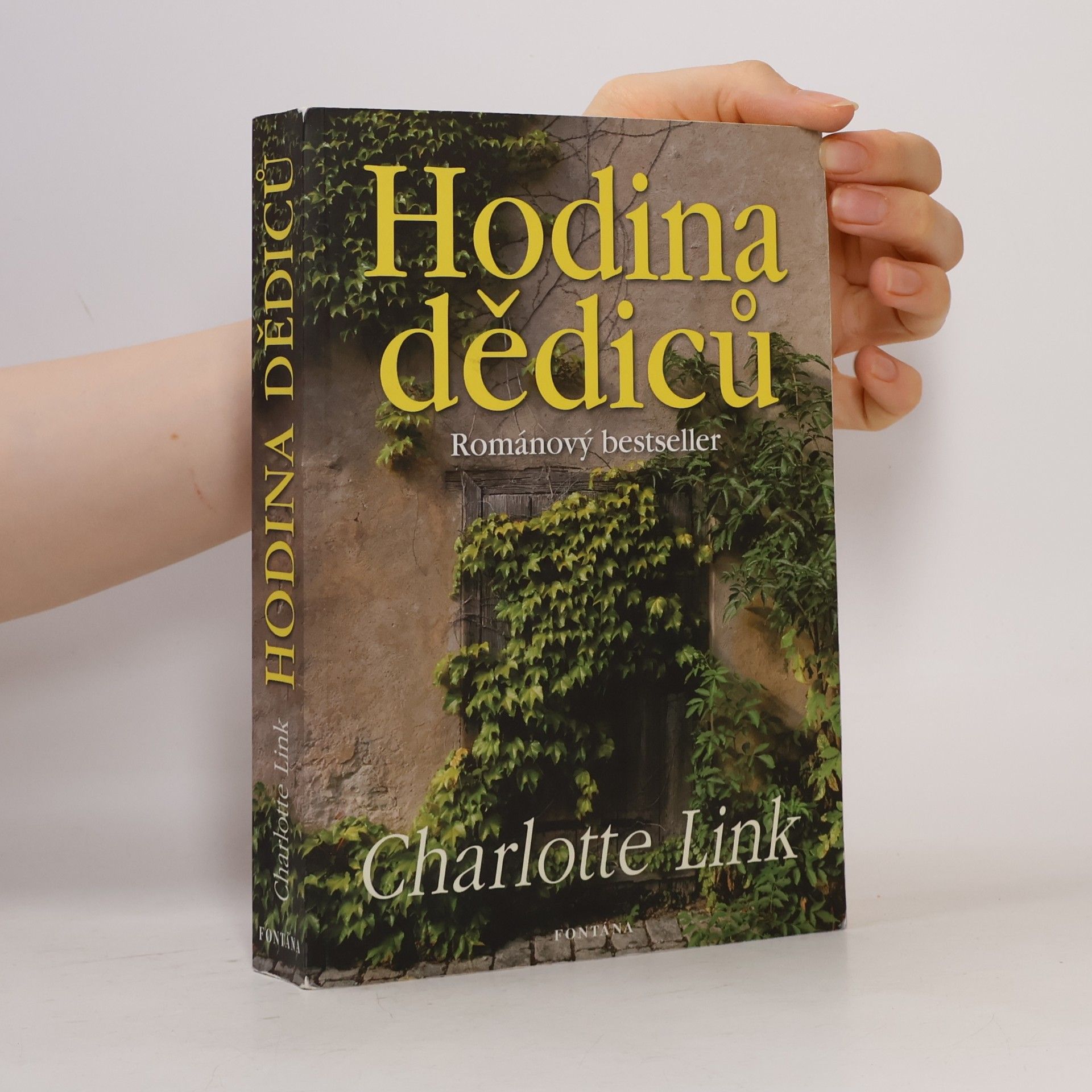 Charlotte Link Hodina dědiců