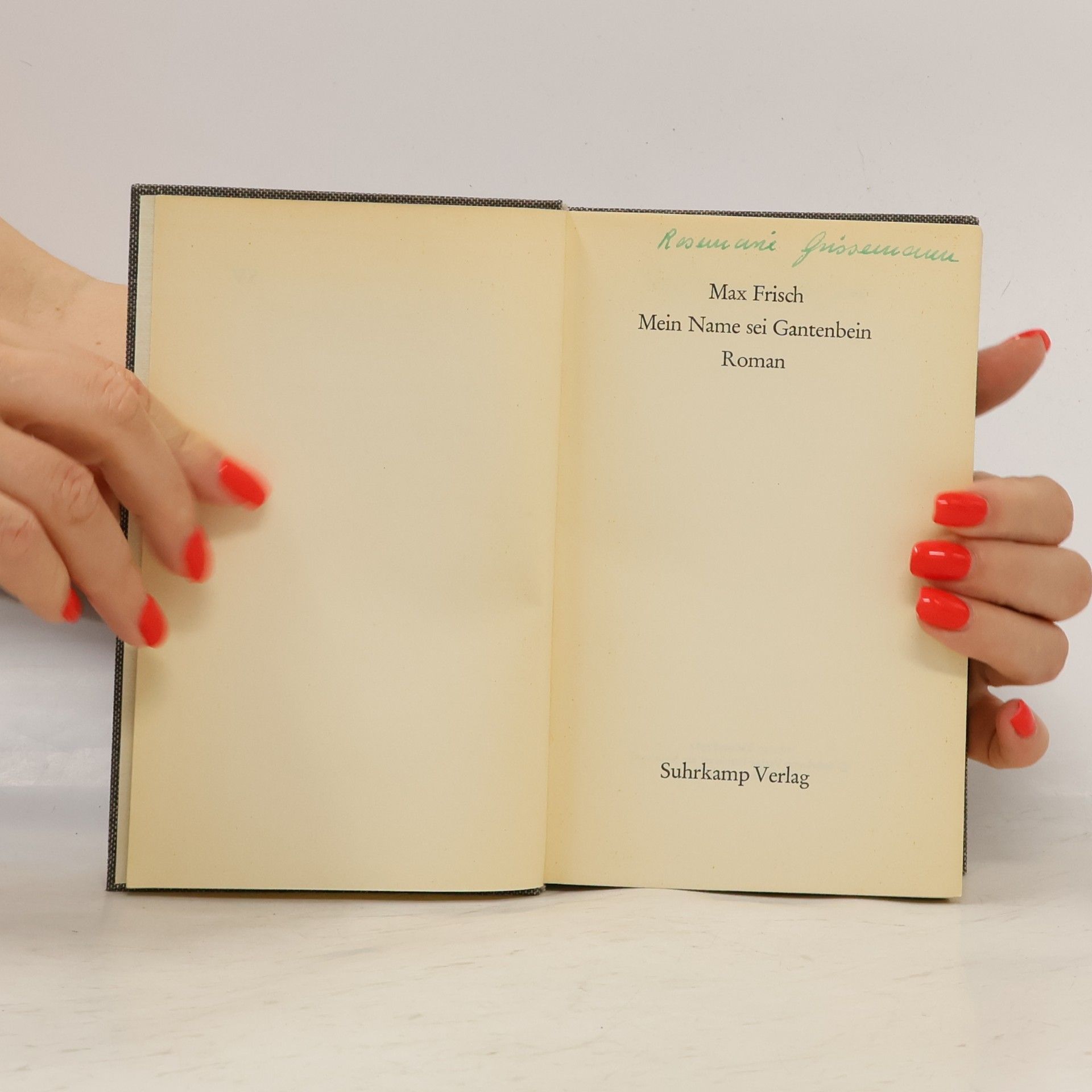 Max Frisch Mein Name sei Gantenbein