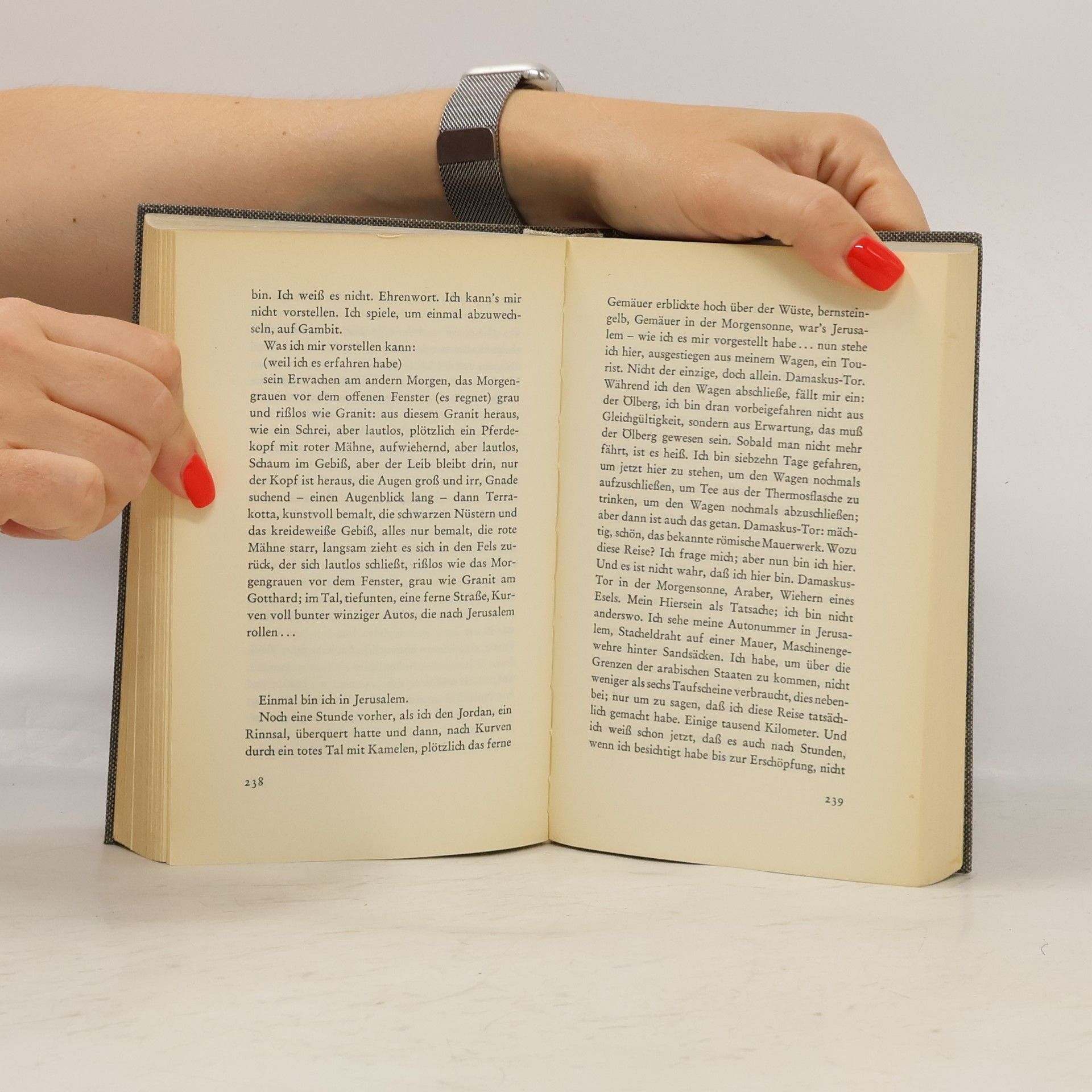 Max Frisch Mein Name sei Gantenbein