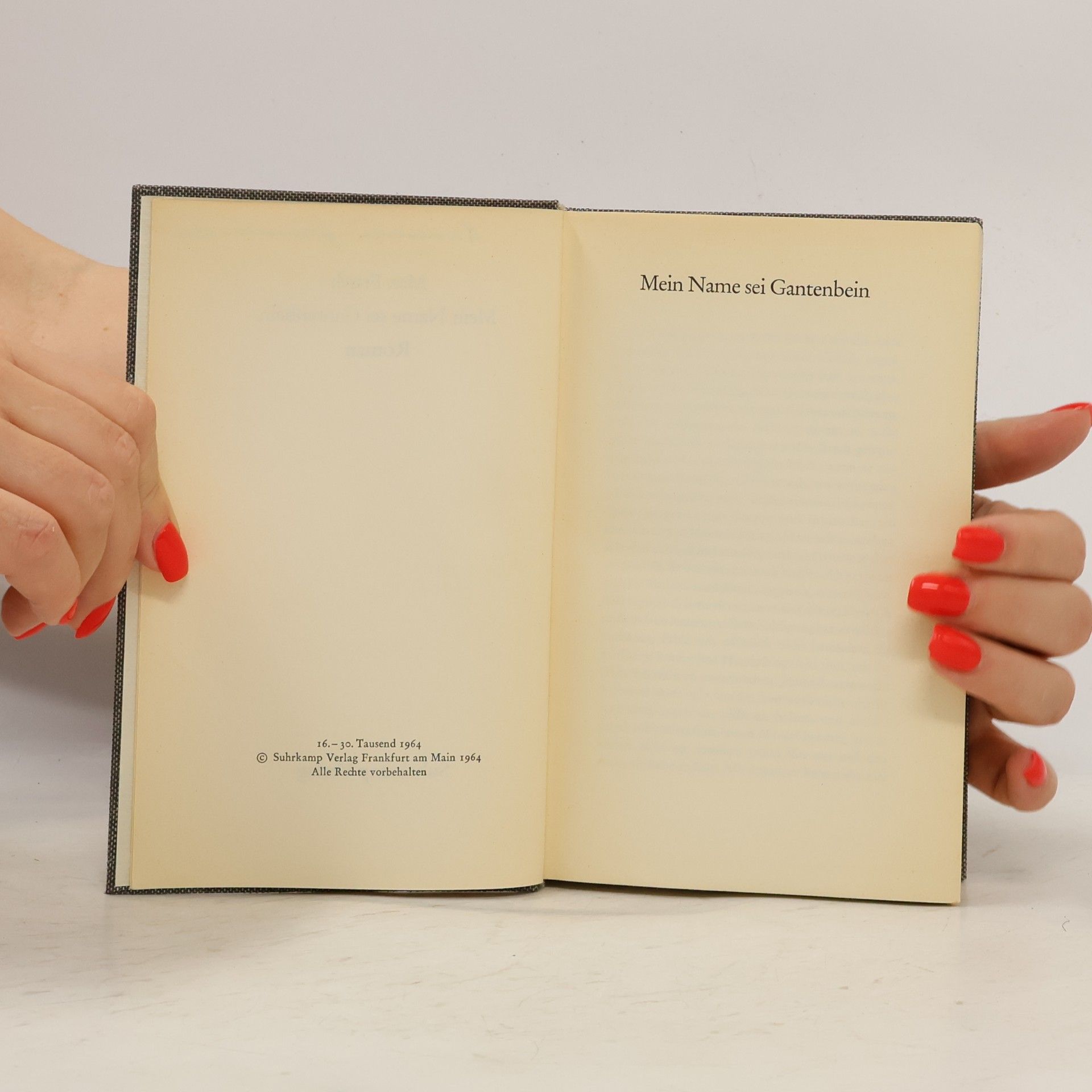 Max Frisch Mein Name sei Gantenbein