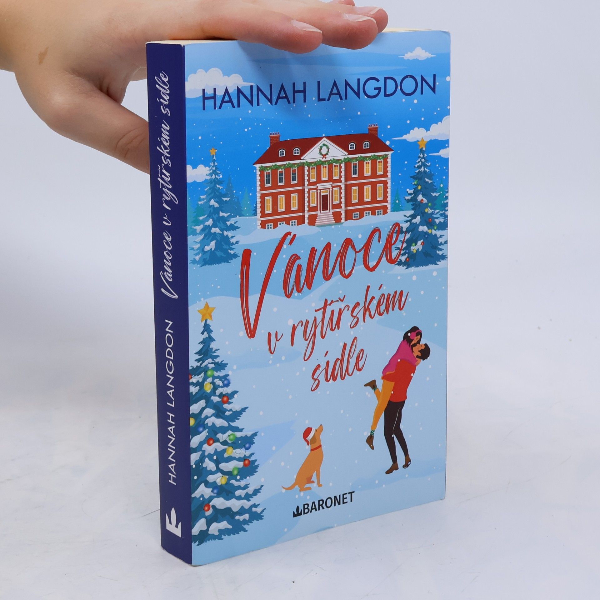 Hannah Langdon Vánoce v rytířském sídle