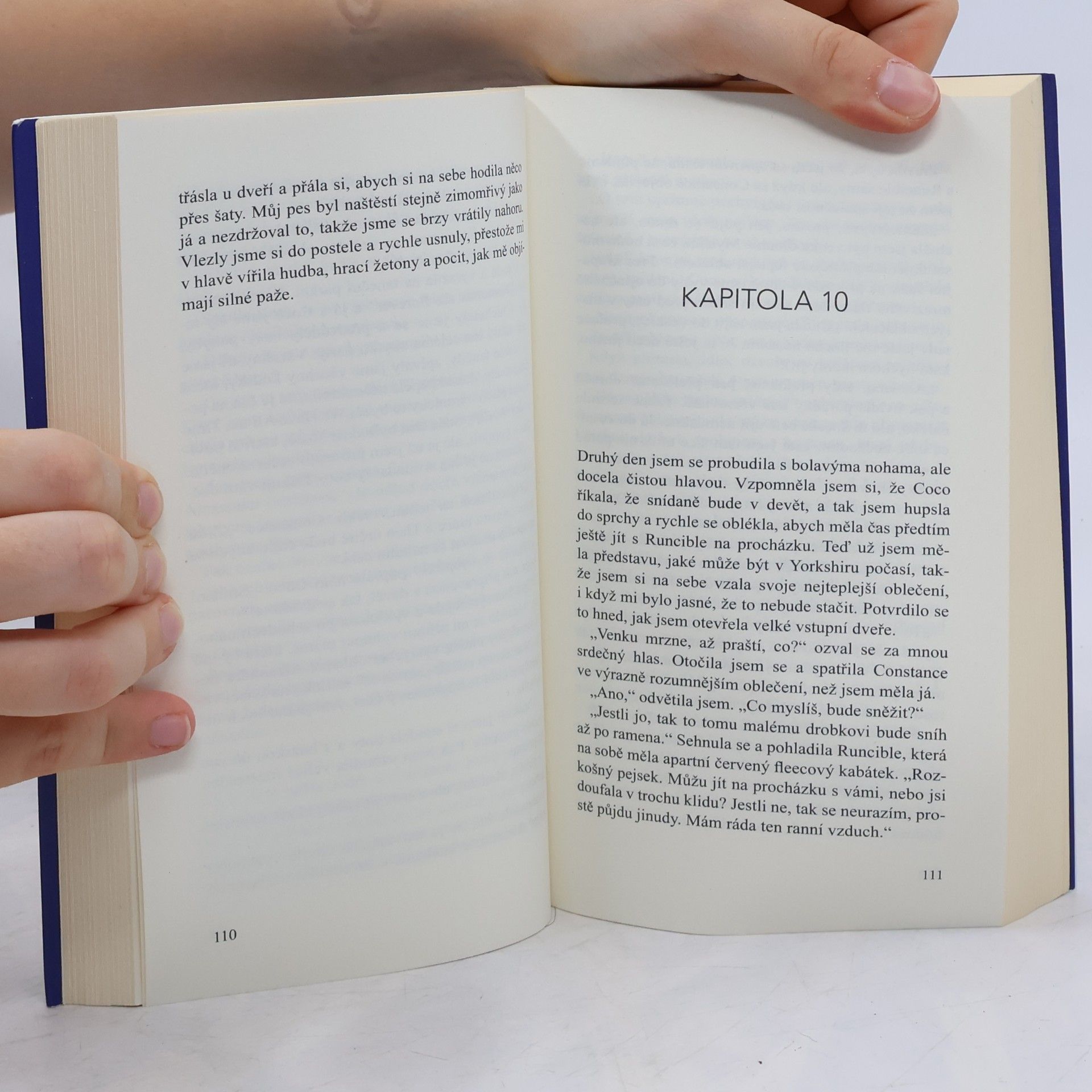 Hannah Langdon Vánoce v rytířském sídle