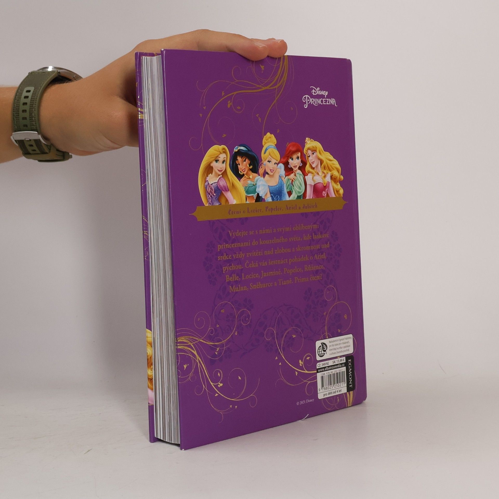 Autorenkollektiv Velká kniha pohádek - princezna