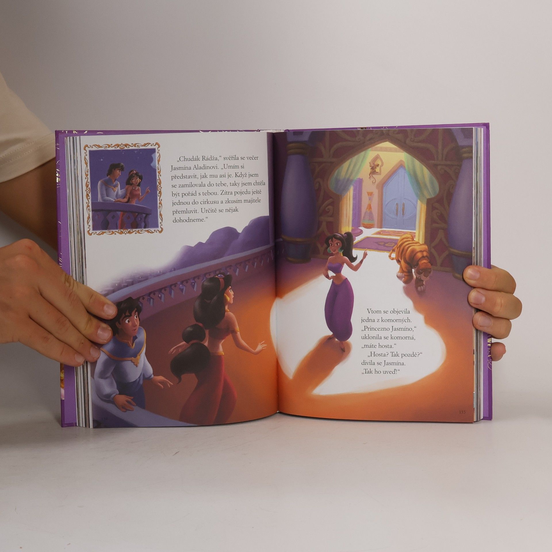 Autorenkollektiv Velká kniha pohádek - princezna