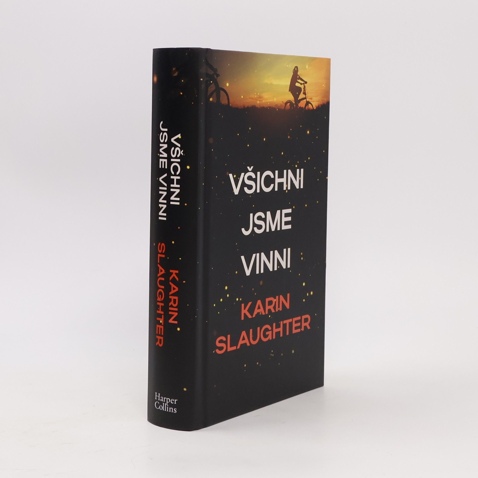 Karin Slaughter Všichni jsme vinni
