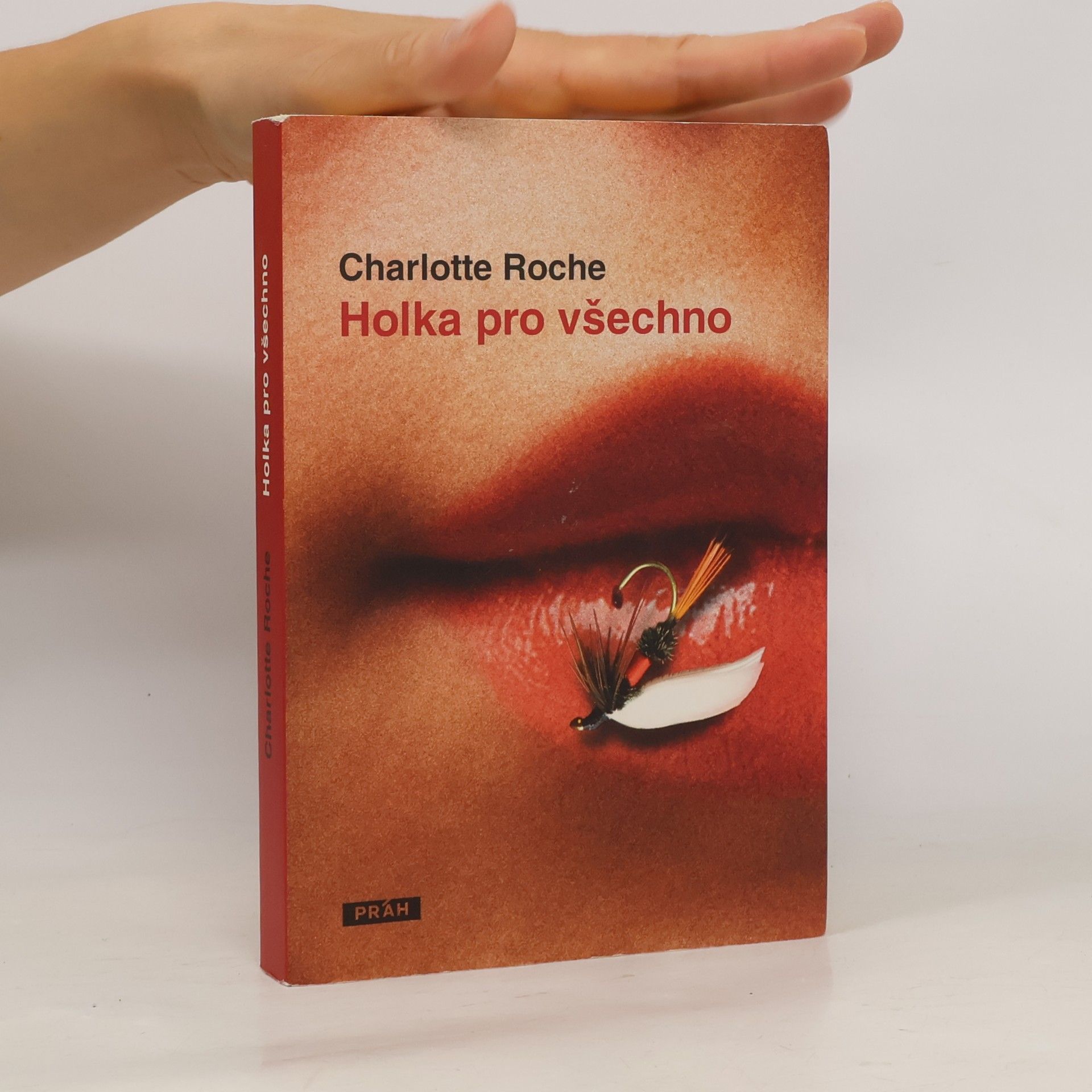 Charlotte Roche Holka pro všechno