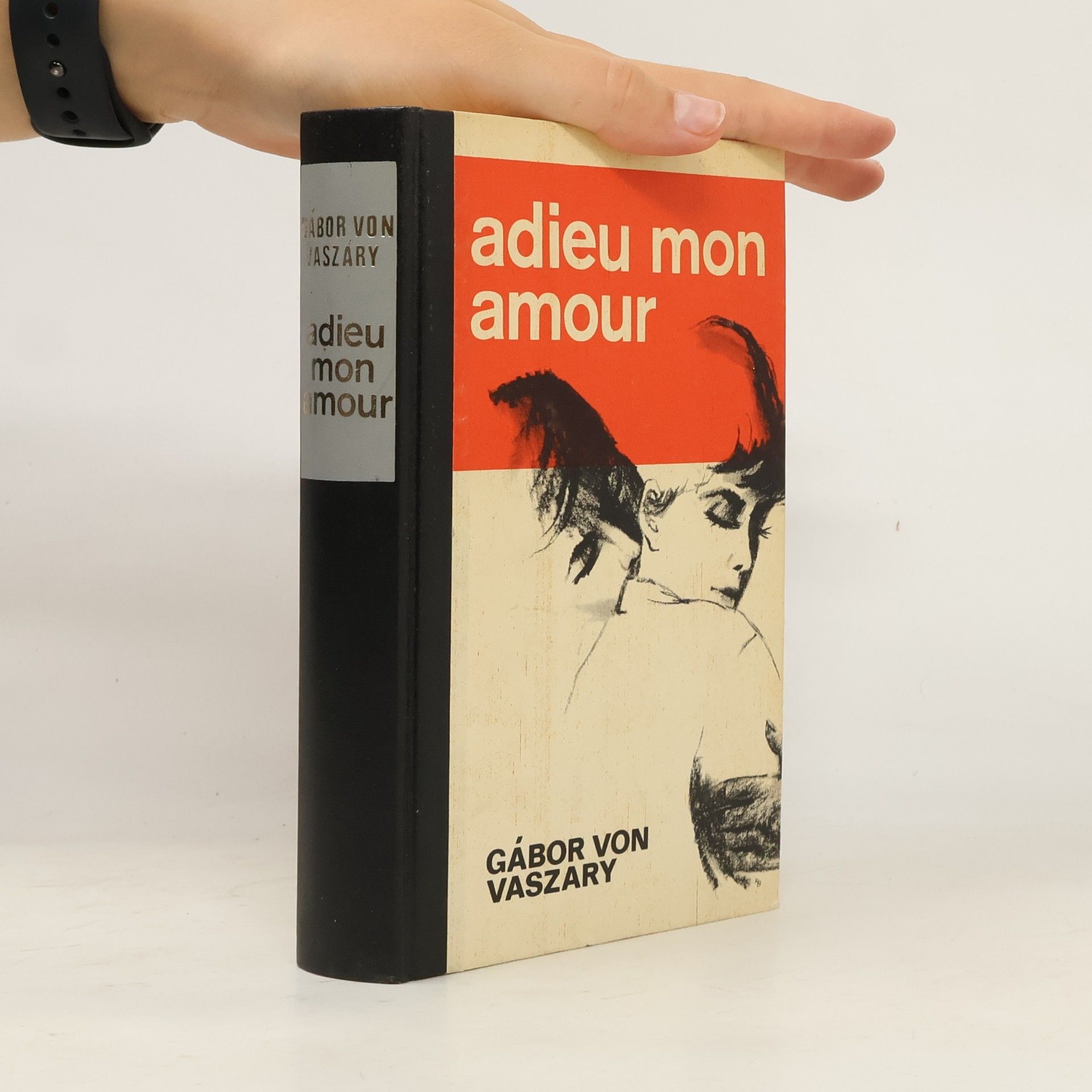 Gábor von Vaszary Adieu mon Amour