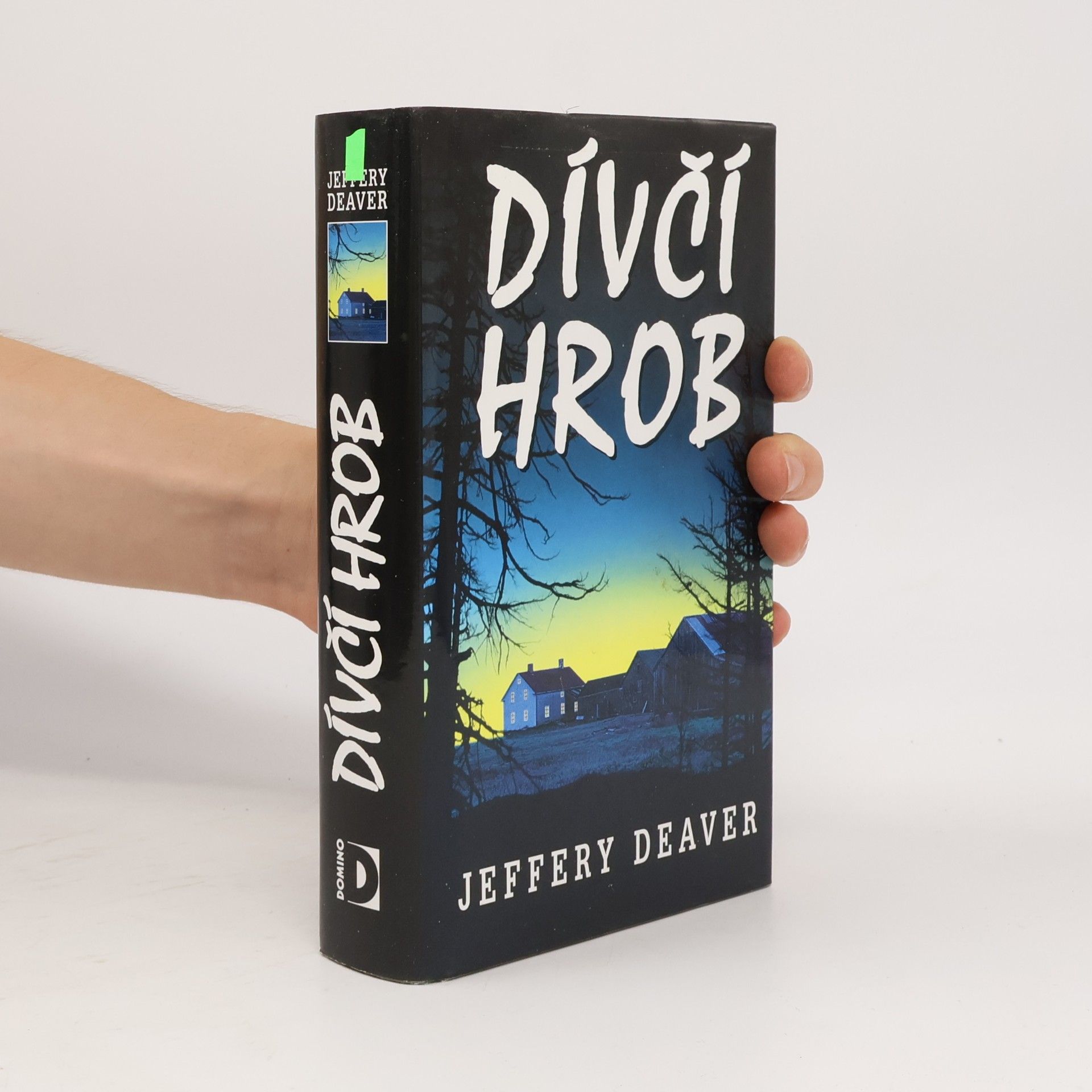 Jeffery Deaver Dívčí hrob