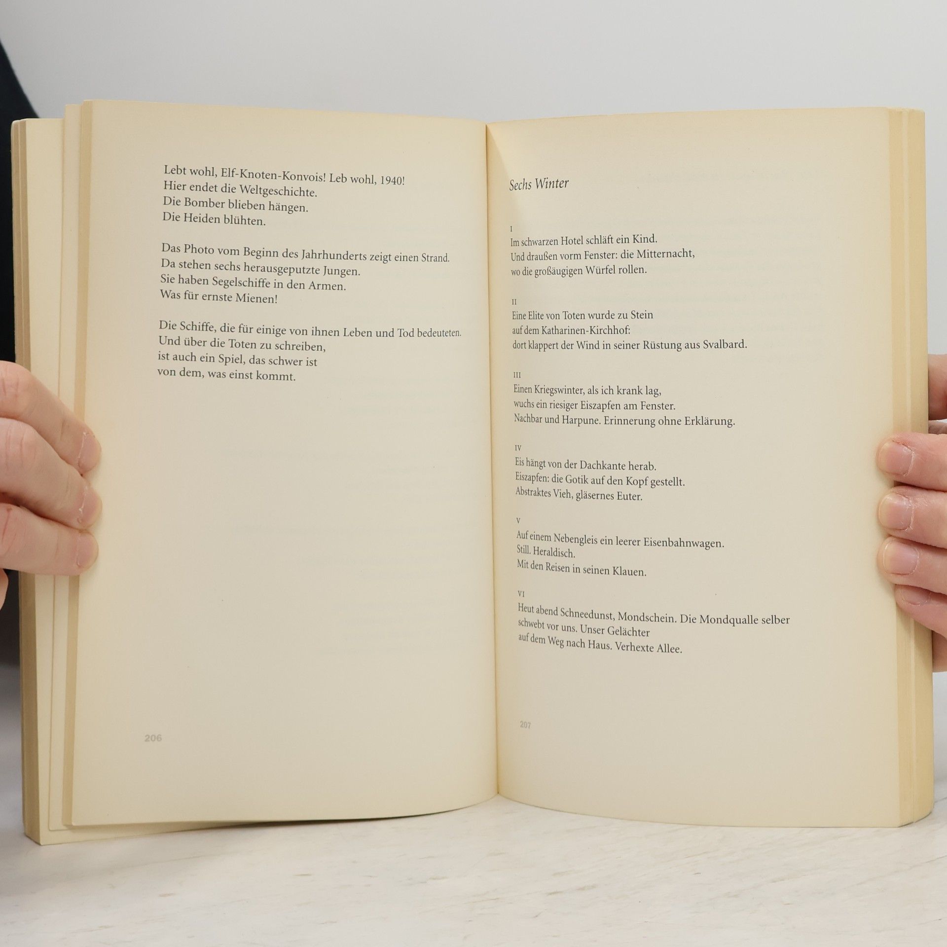Tomas Tranströmer In meinem Schatten werde ich getragen
