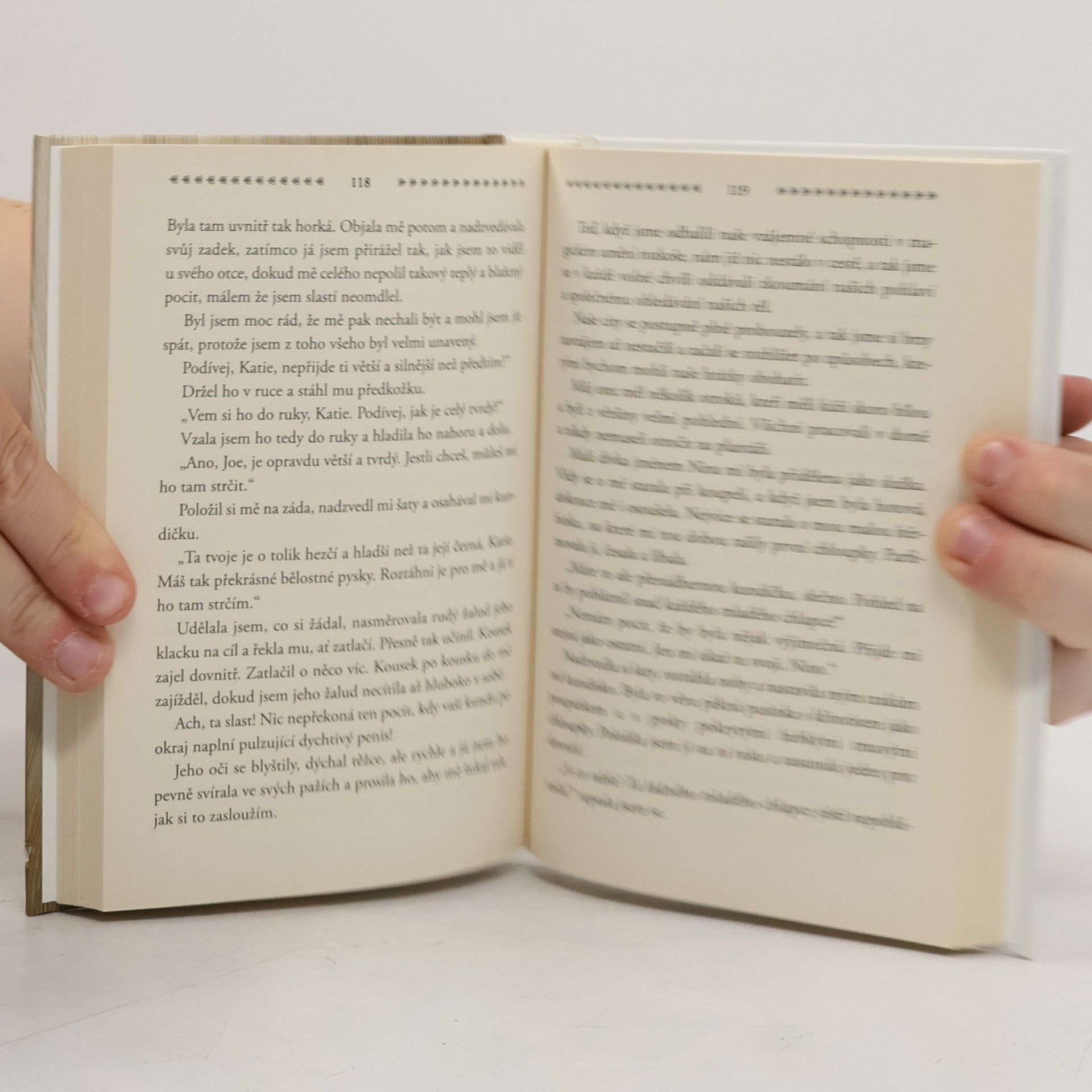 Autorenkollektiv Z rodinné kroniky Lady Fuckingham