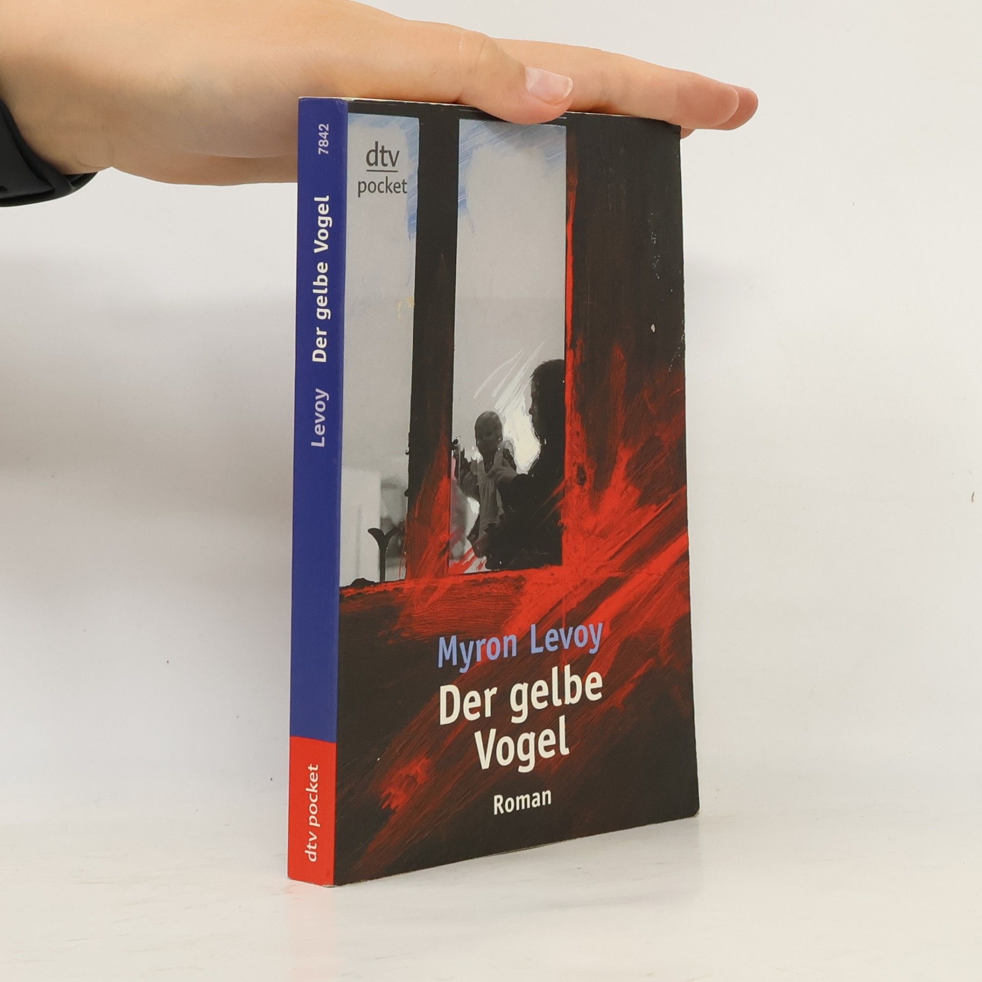 Myron Levoy Der gelbe Vogel