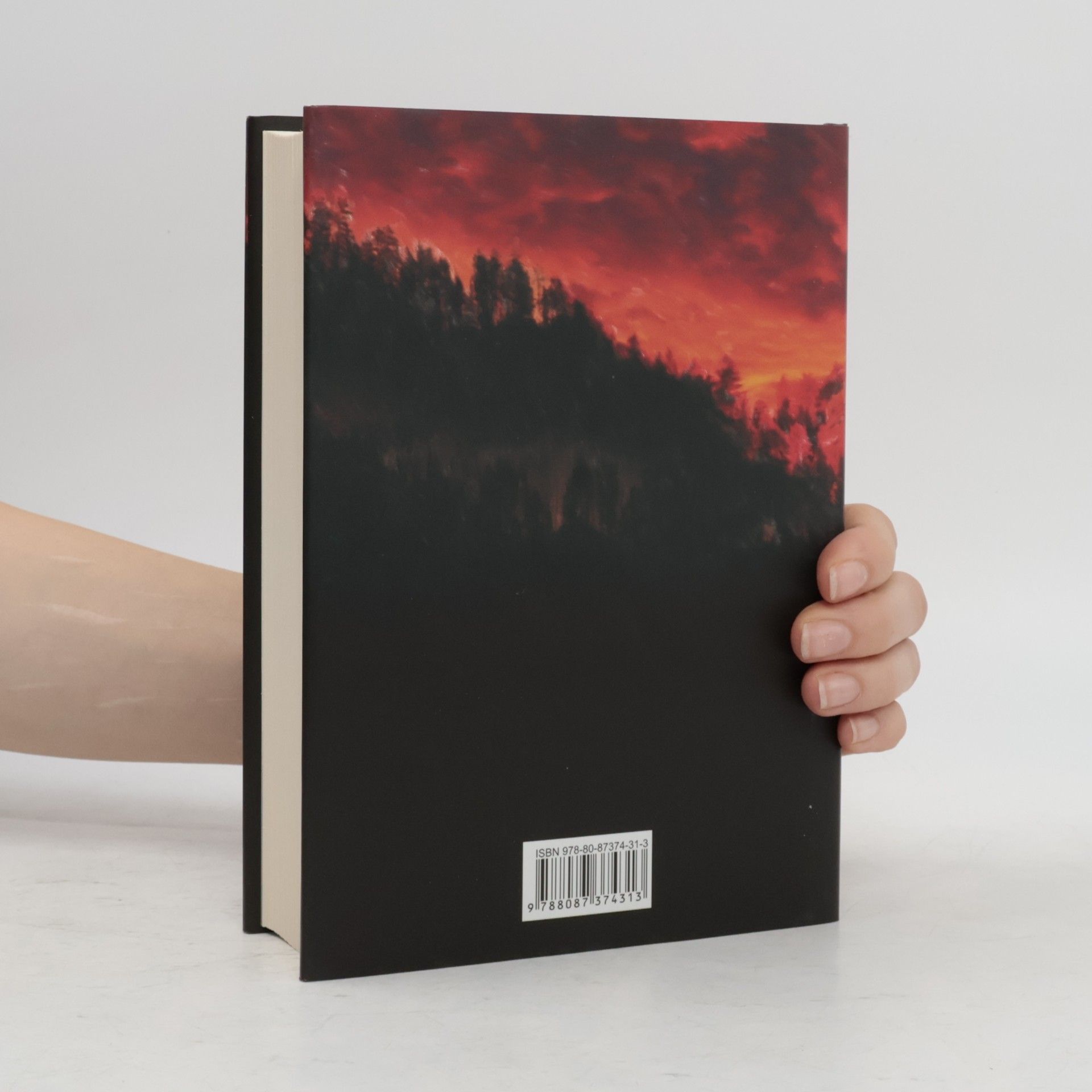 Dan Simmons Black Hills