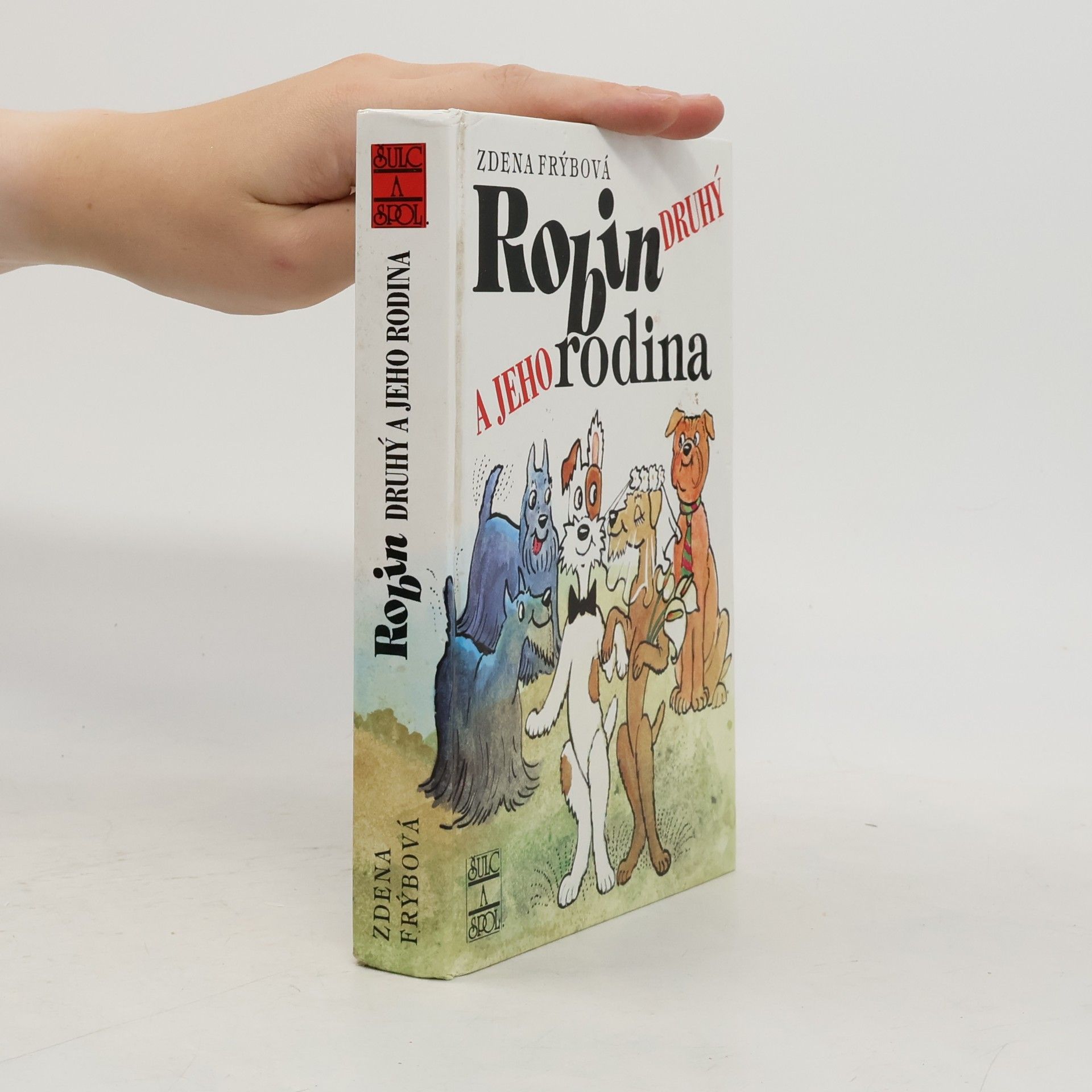 Zdena Frýbová Robin Druhý a jeho rodina