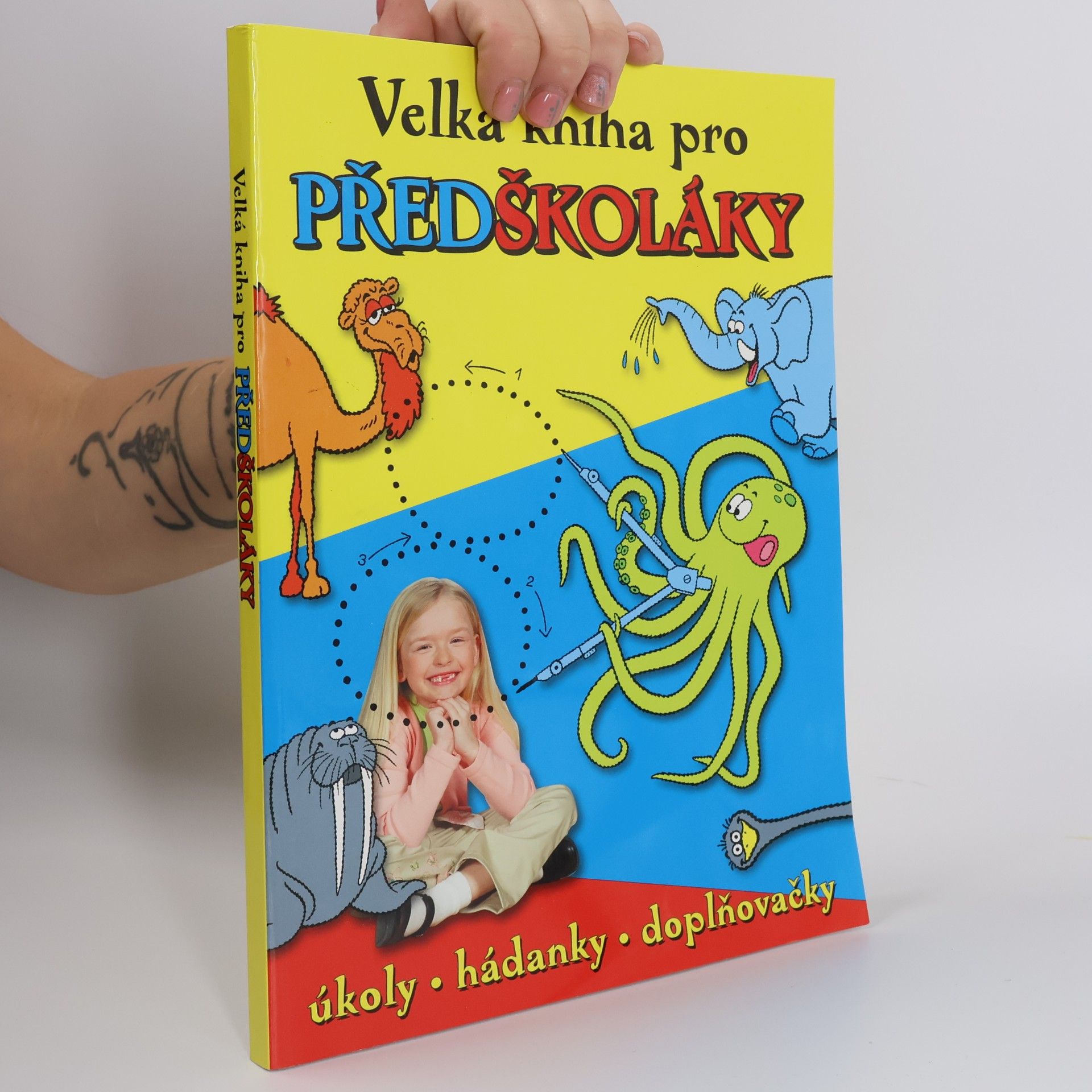 Autorenkollektiv Velká kniha pro předškoláky