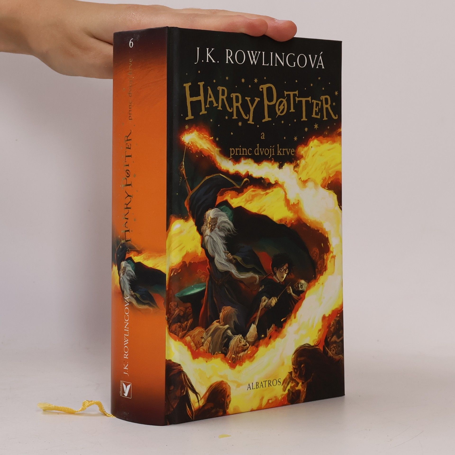 Pavel Medek Harry Potter a princ dvojí krve