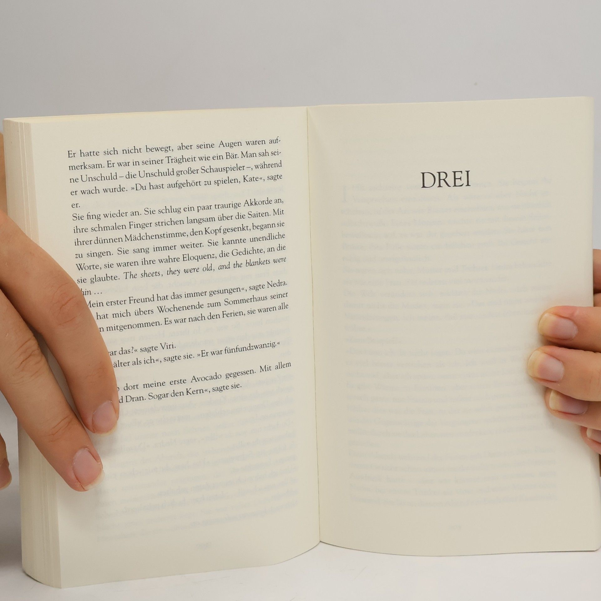 James Salter Lichtjahre