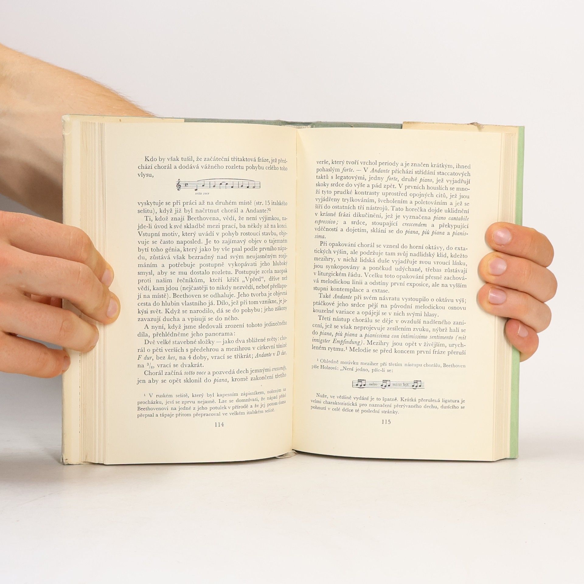 Romain Rolland Beethoven IV. Velká tvůrčí období. Nedokončená katedrála II. Poslední kvartety