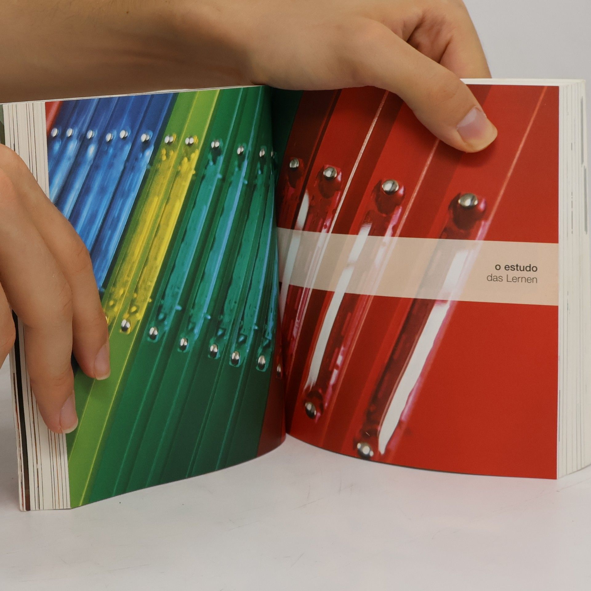 Visuelles Wörterbuch Portugiesisch-Deutsch