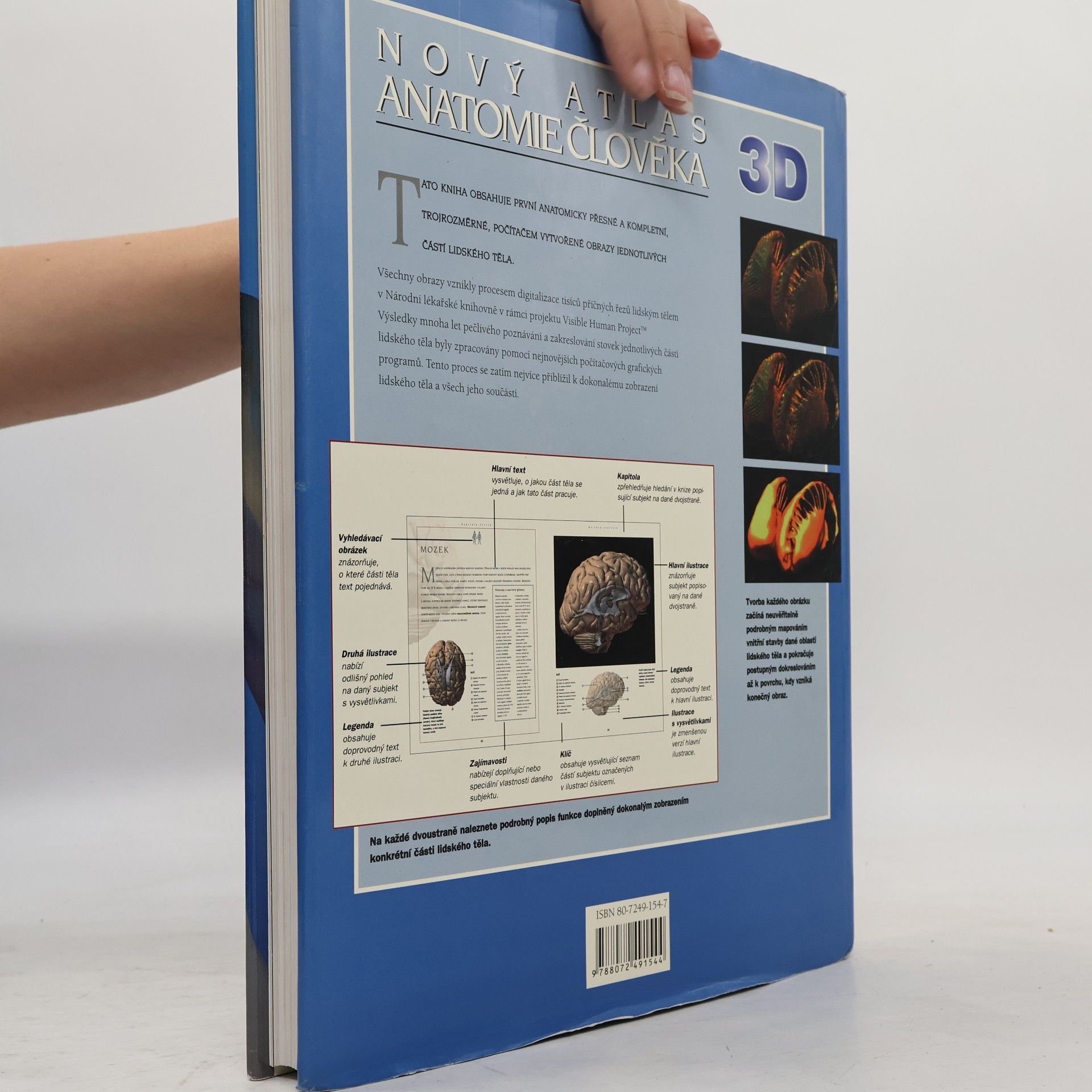 Kolektiv autorů Nový atlas anatomie člověka