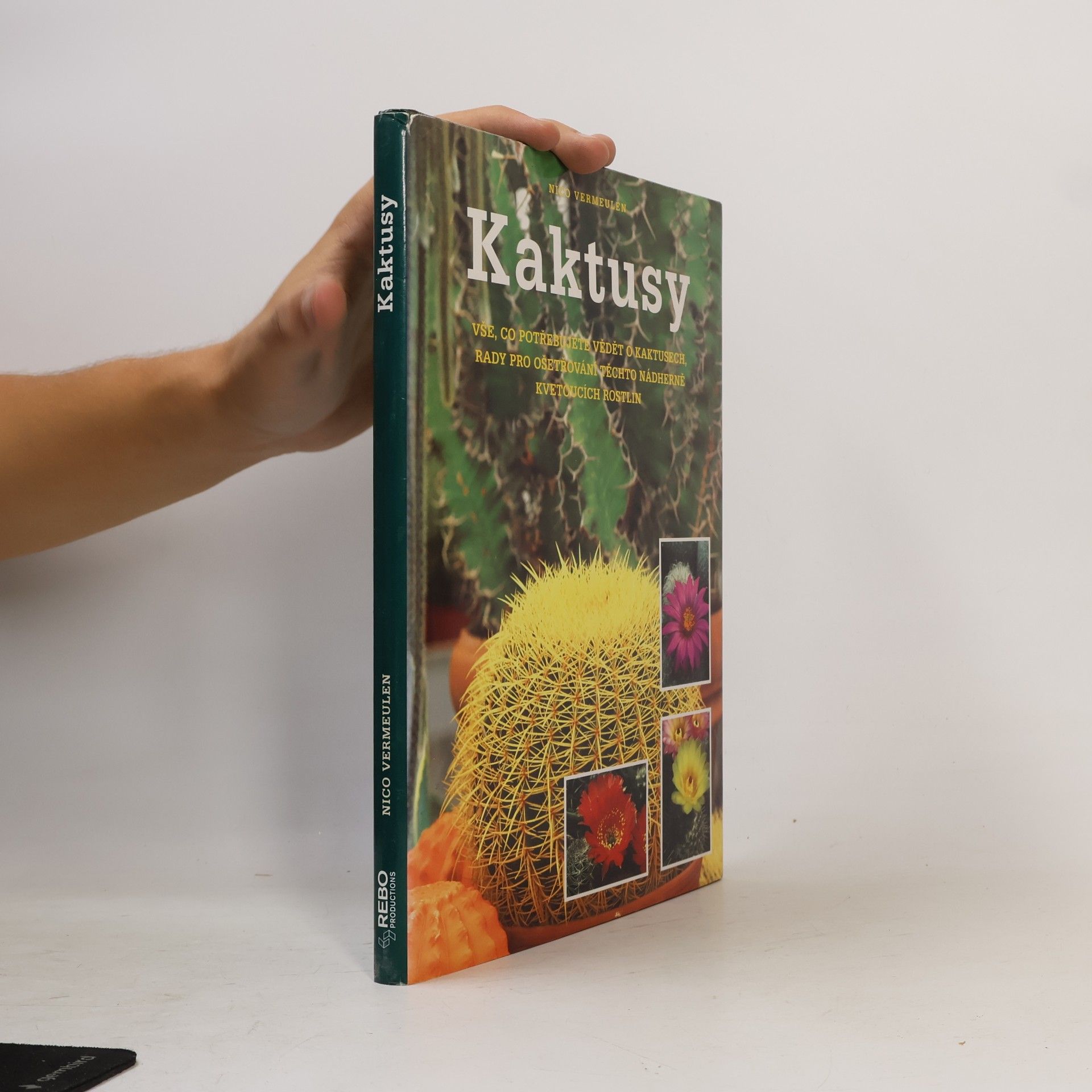 Kaktusy