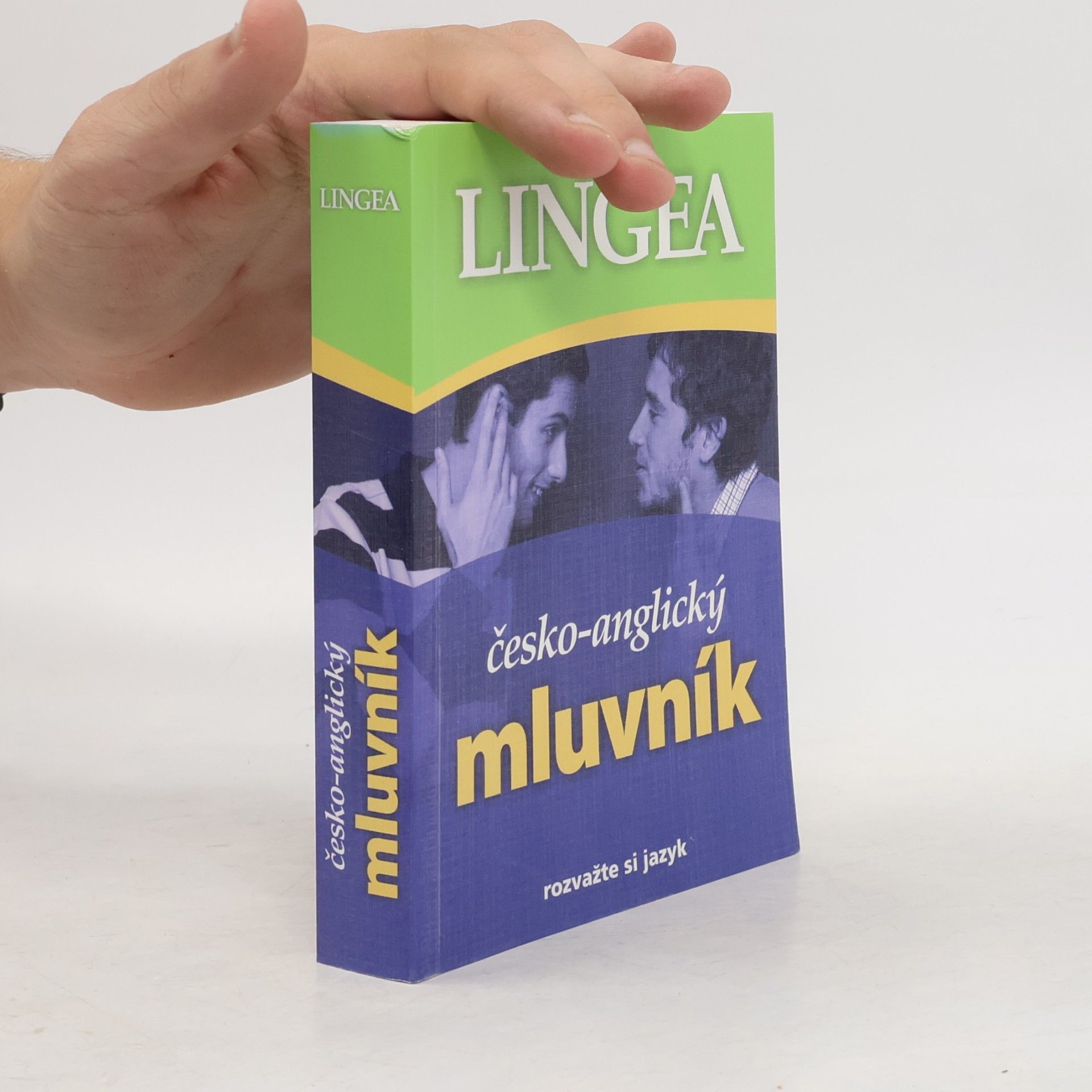 Autorenkollektiv Česko-anglický mluvník