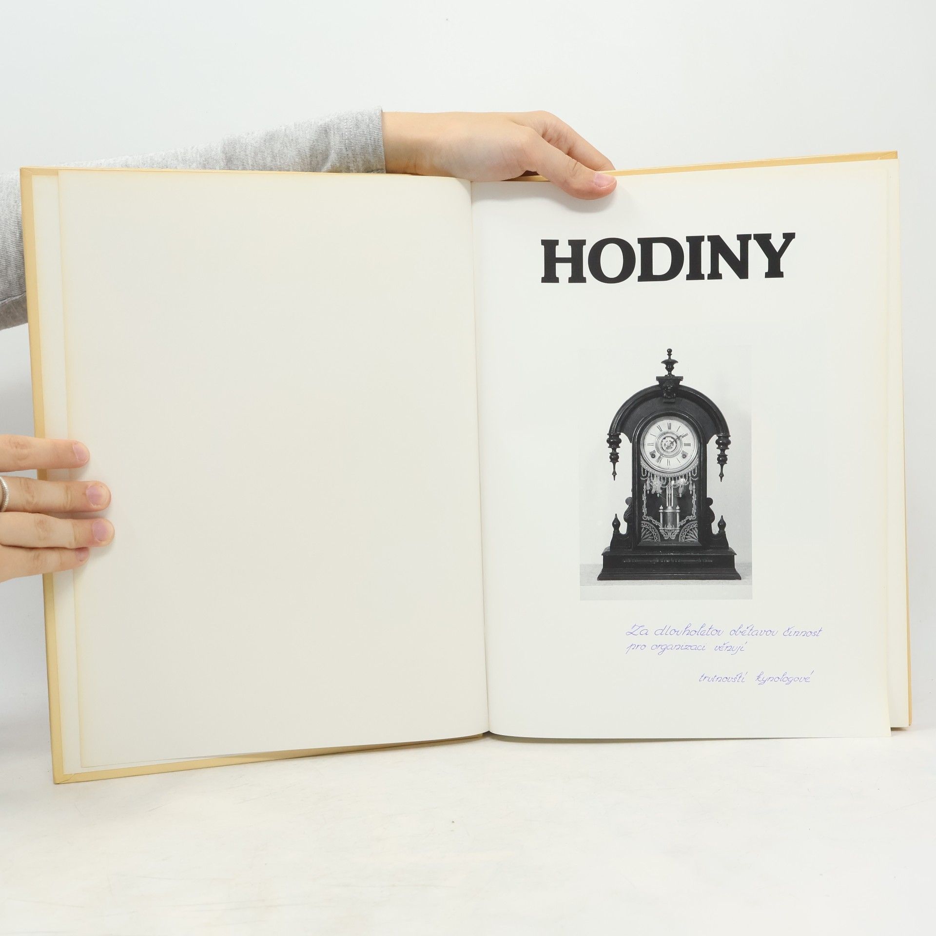 Hunter John Hodiny