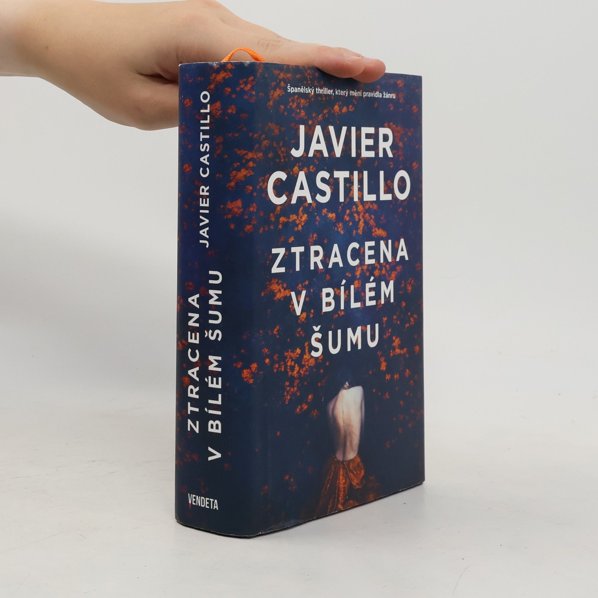 Javier Castillo Ztracena v bílém šumu