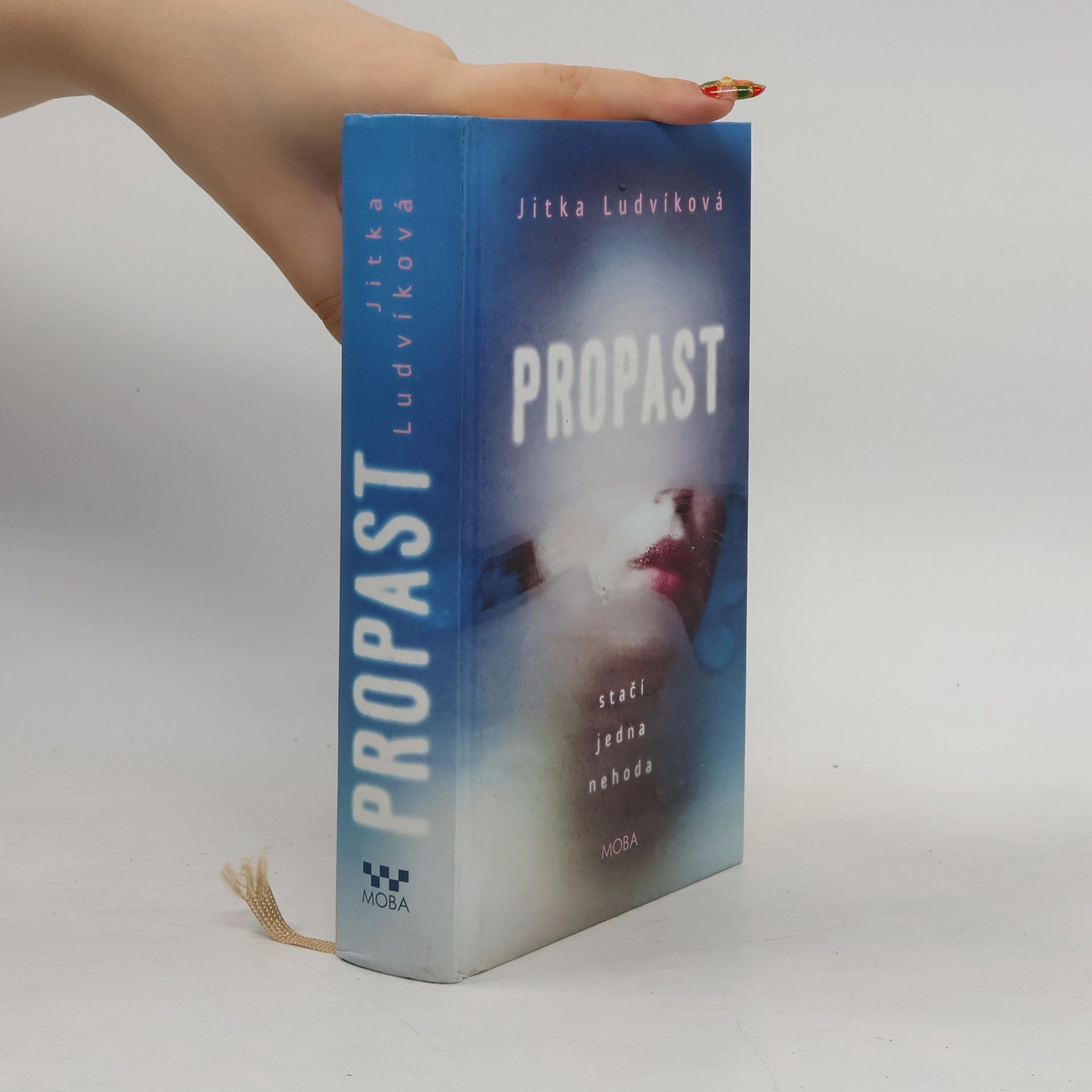Jitka Ludvíková Propast