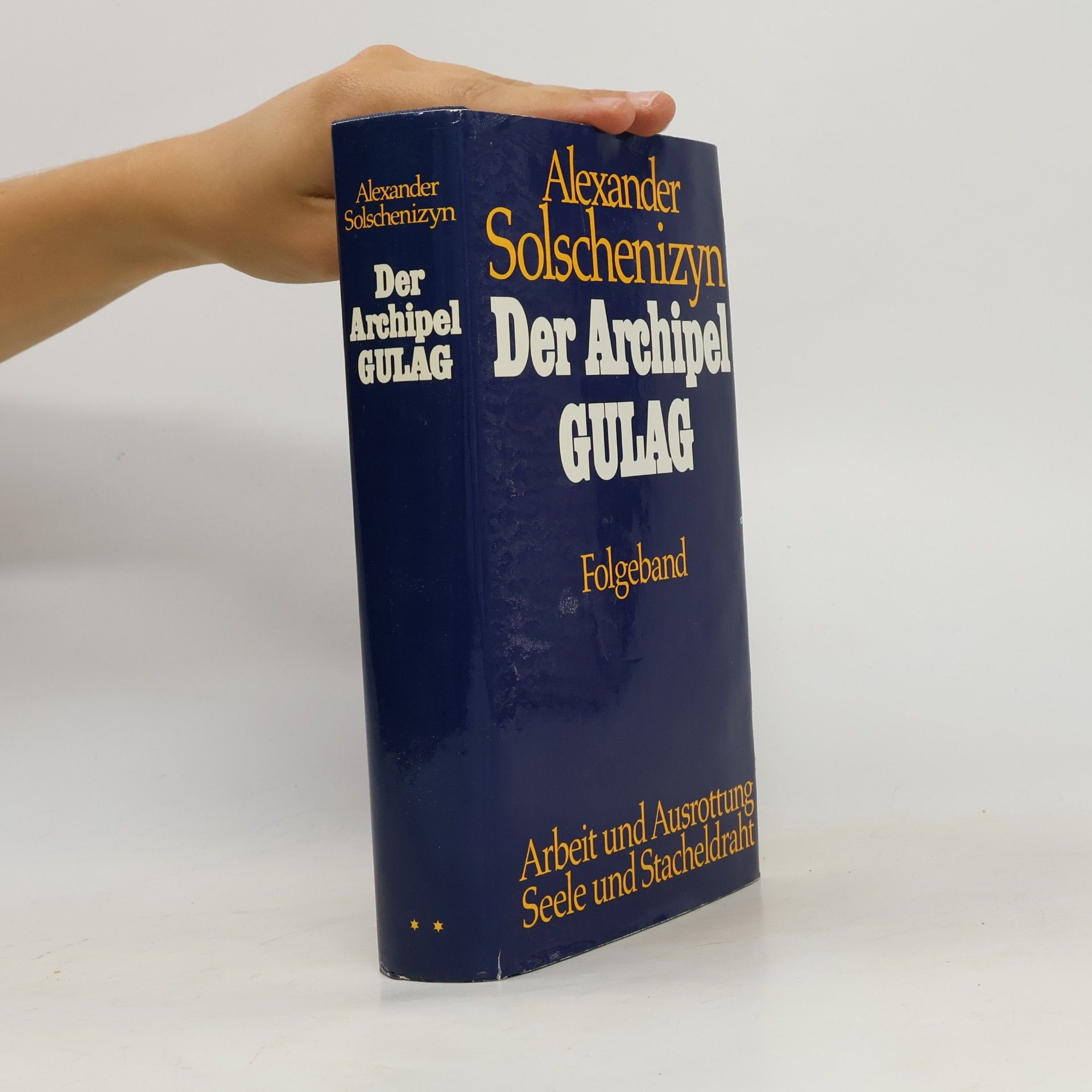 Aleksandr Solzhenitsyn Der Archipel Gulag