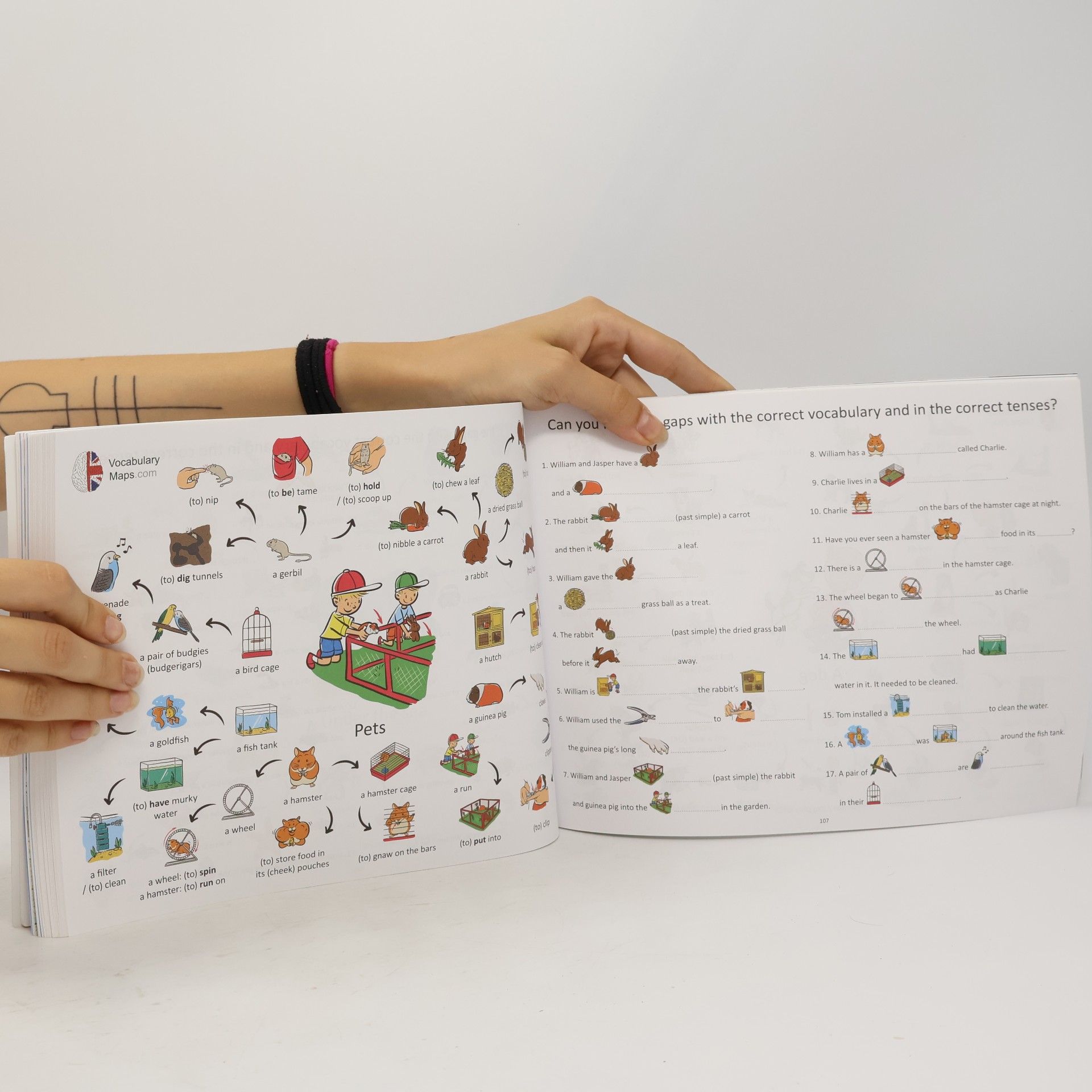 Tomáš Bednář Vocabulary maps