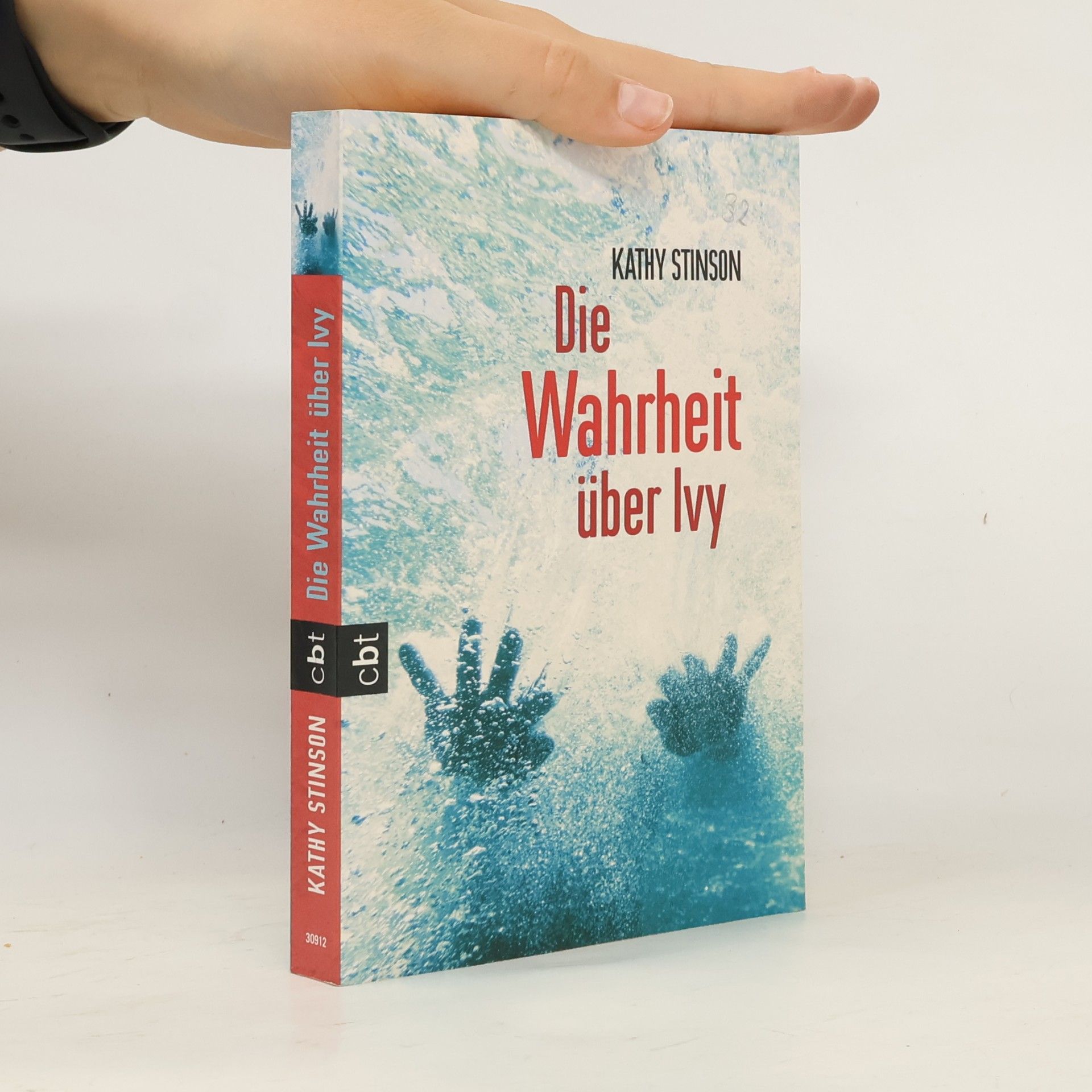 Kathy Stinson Die Wahrheit über Ivy