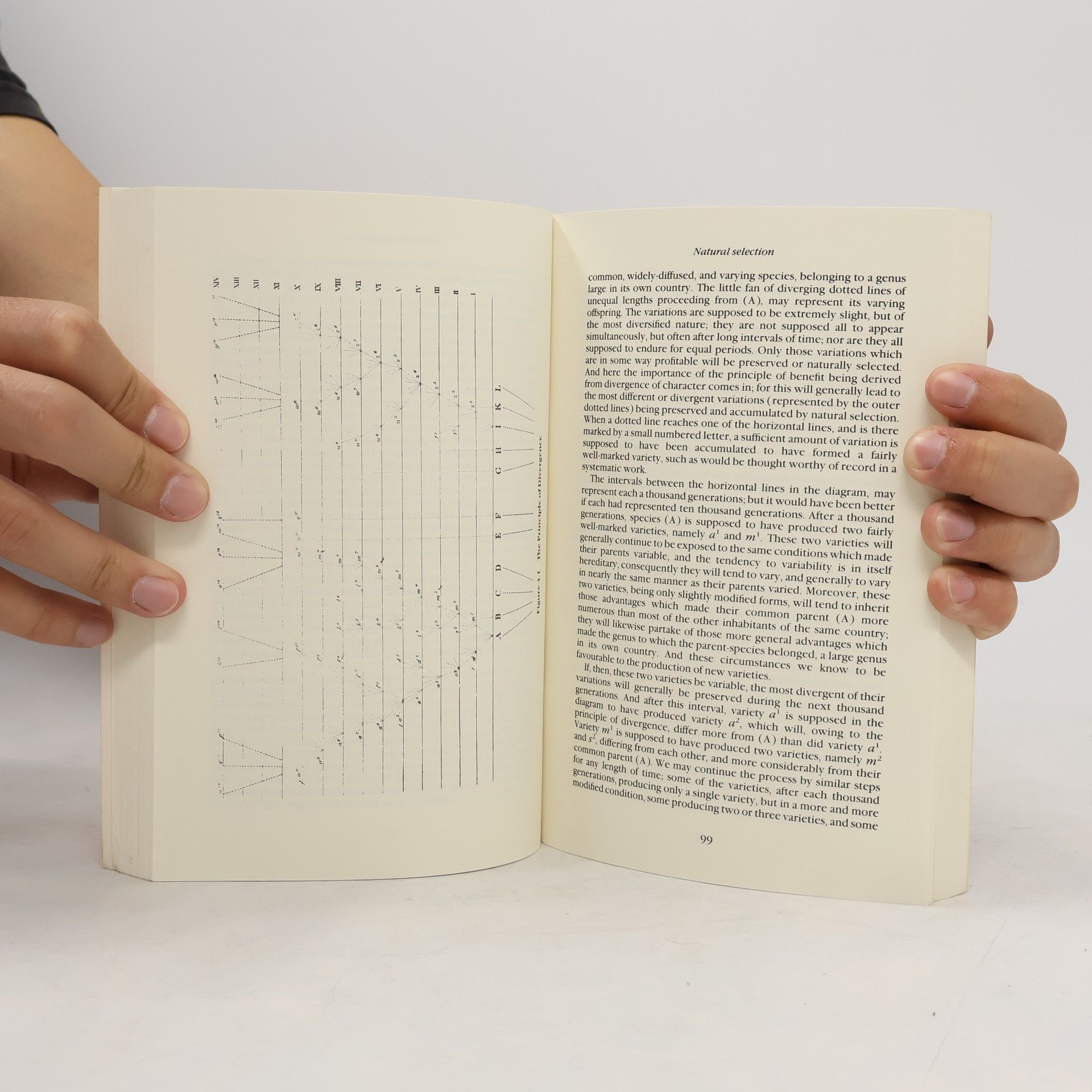 Mark Ridley The Darwin Reader