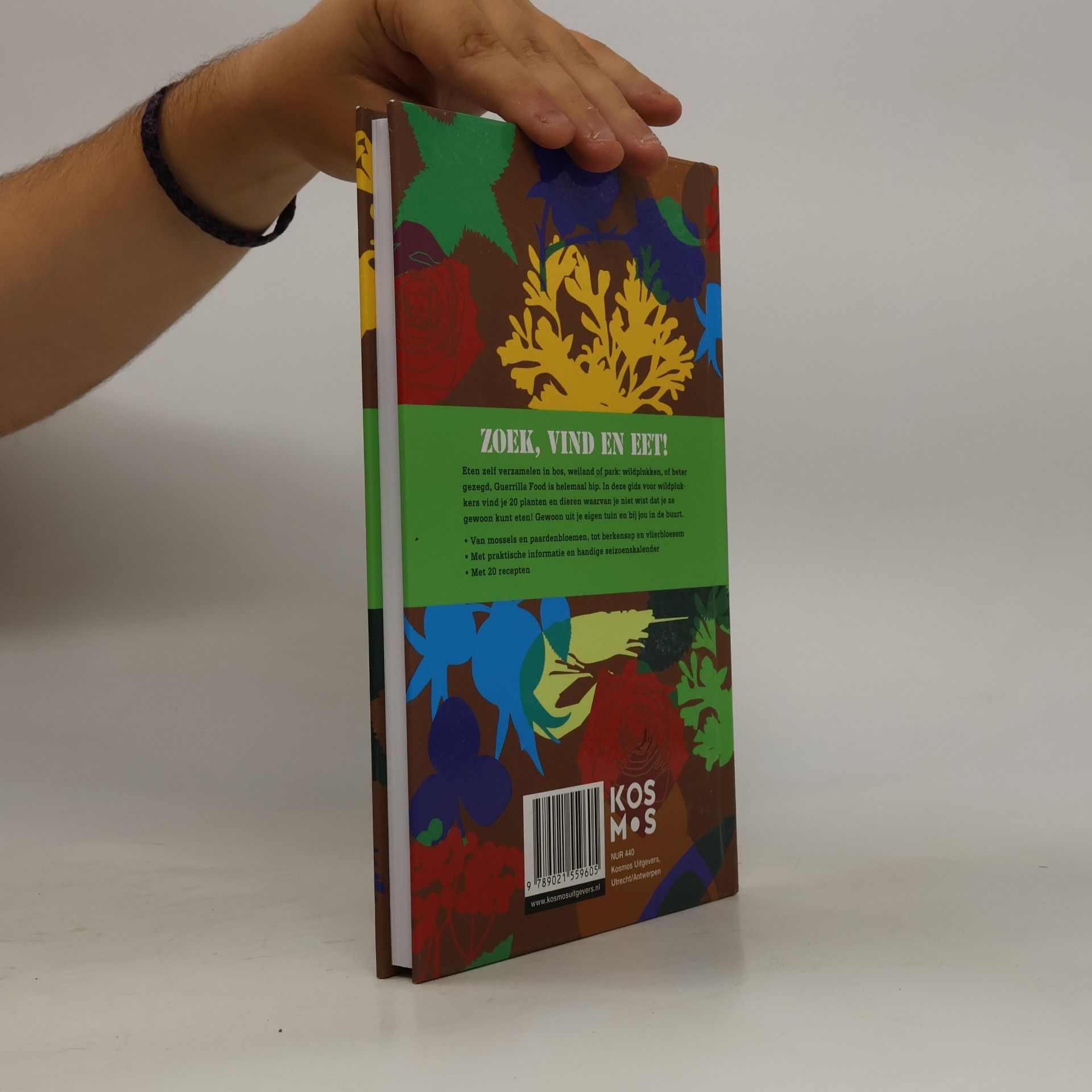Remco van der Leij Guerrilla food: zoek- en kookboek voor wildplukkers