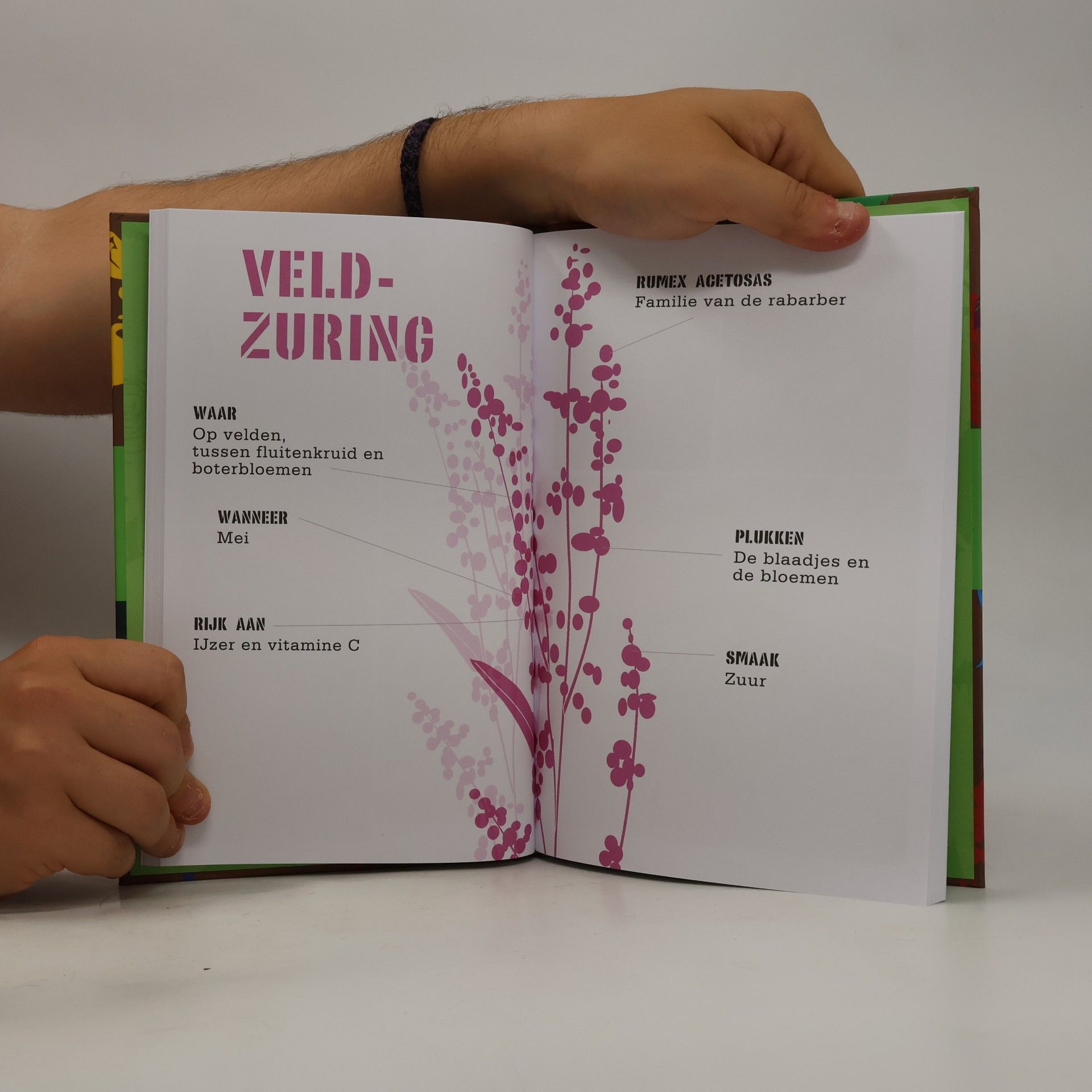 Remco van der Leij Guerrilla food: zoek- en kookboek voor wildplukkers