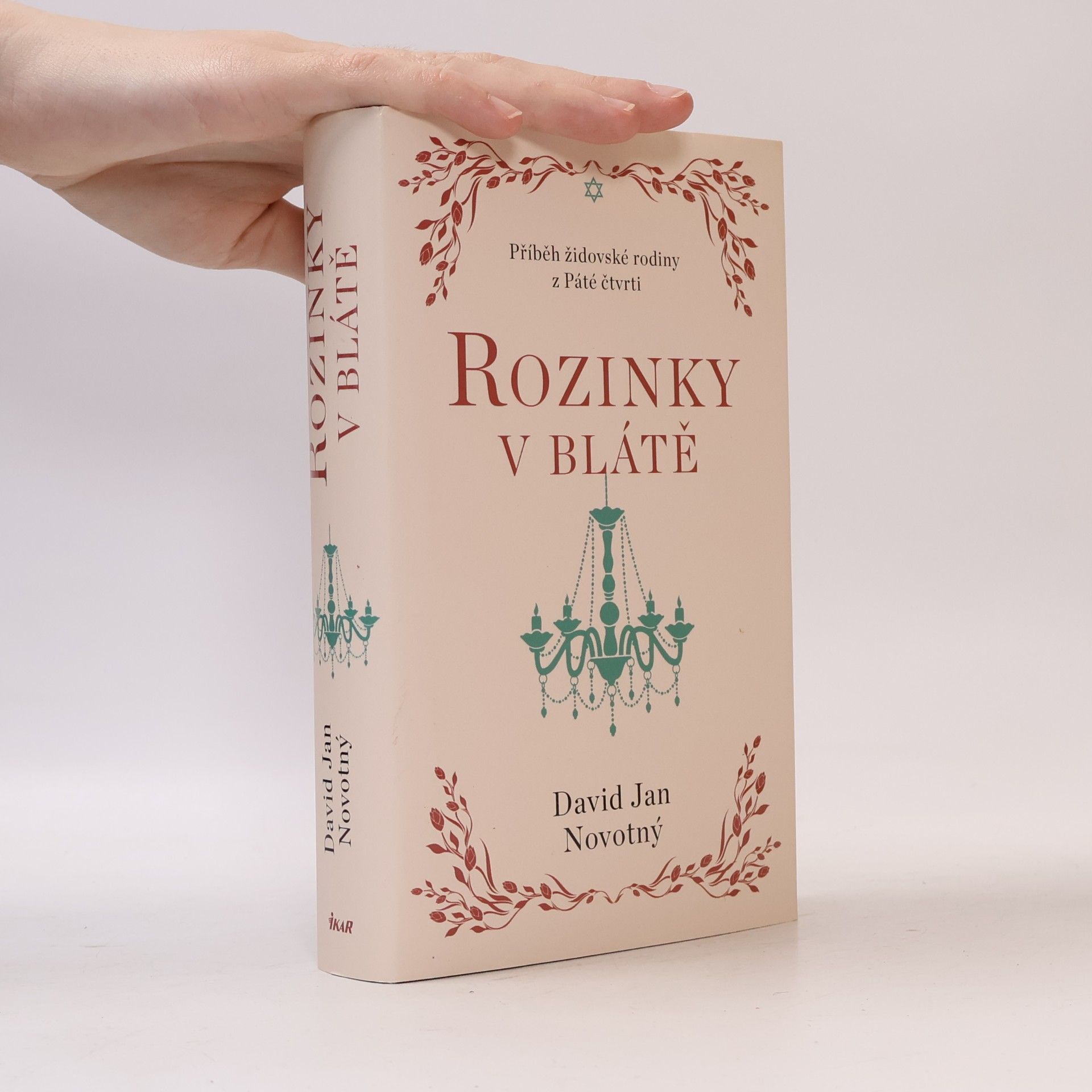 David Jan Novotný Rozinky v blátě