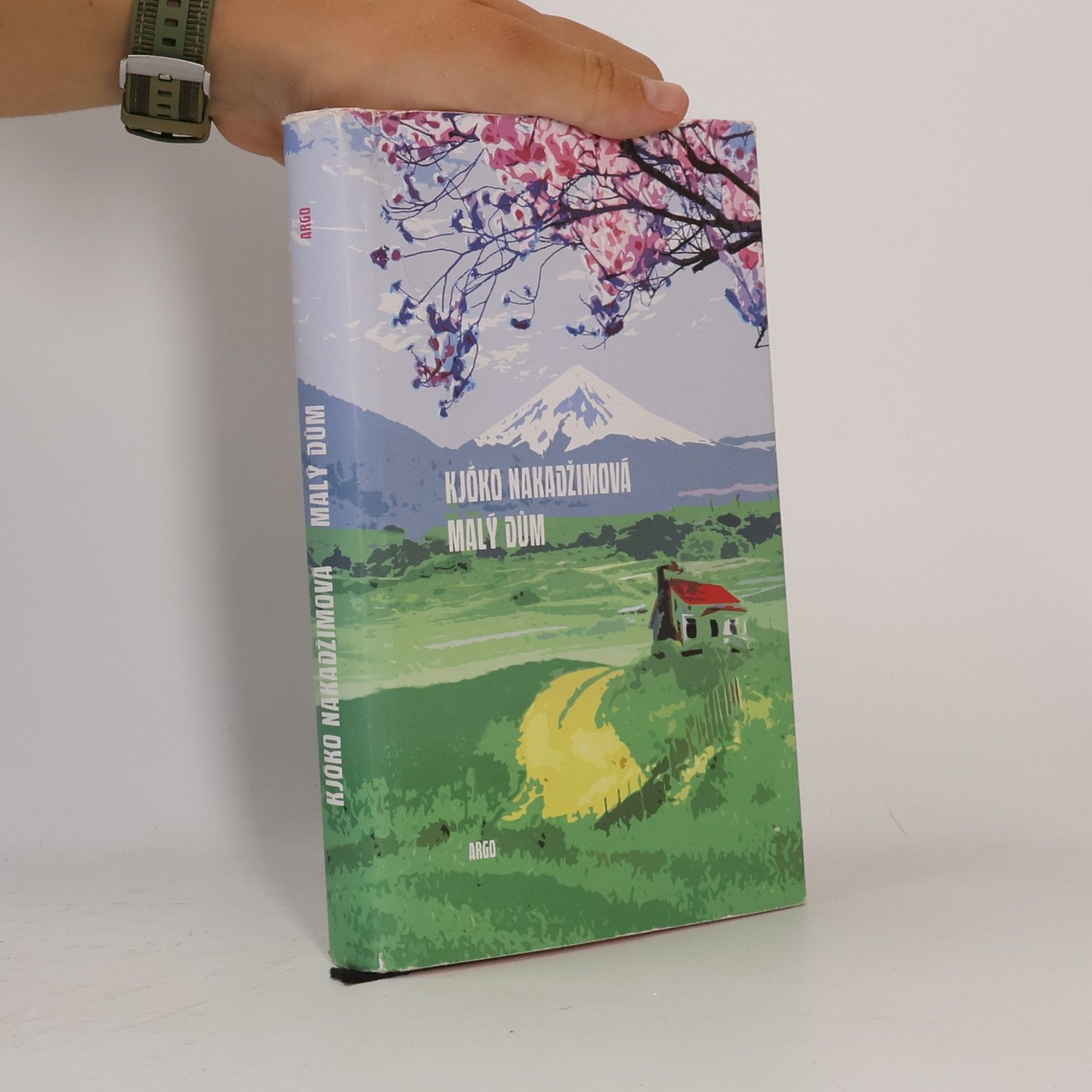 Kyōko Nakajima Malý dům